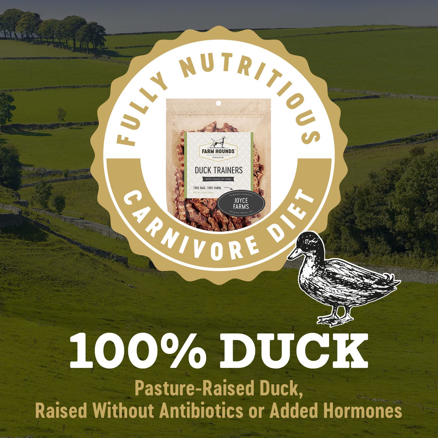 Farm Hounds - Duck Trainers - Premium Natural Jerky for Dogs - Made from 100% Humanely Raised Duck - Easy-Break - Great for Trai