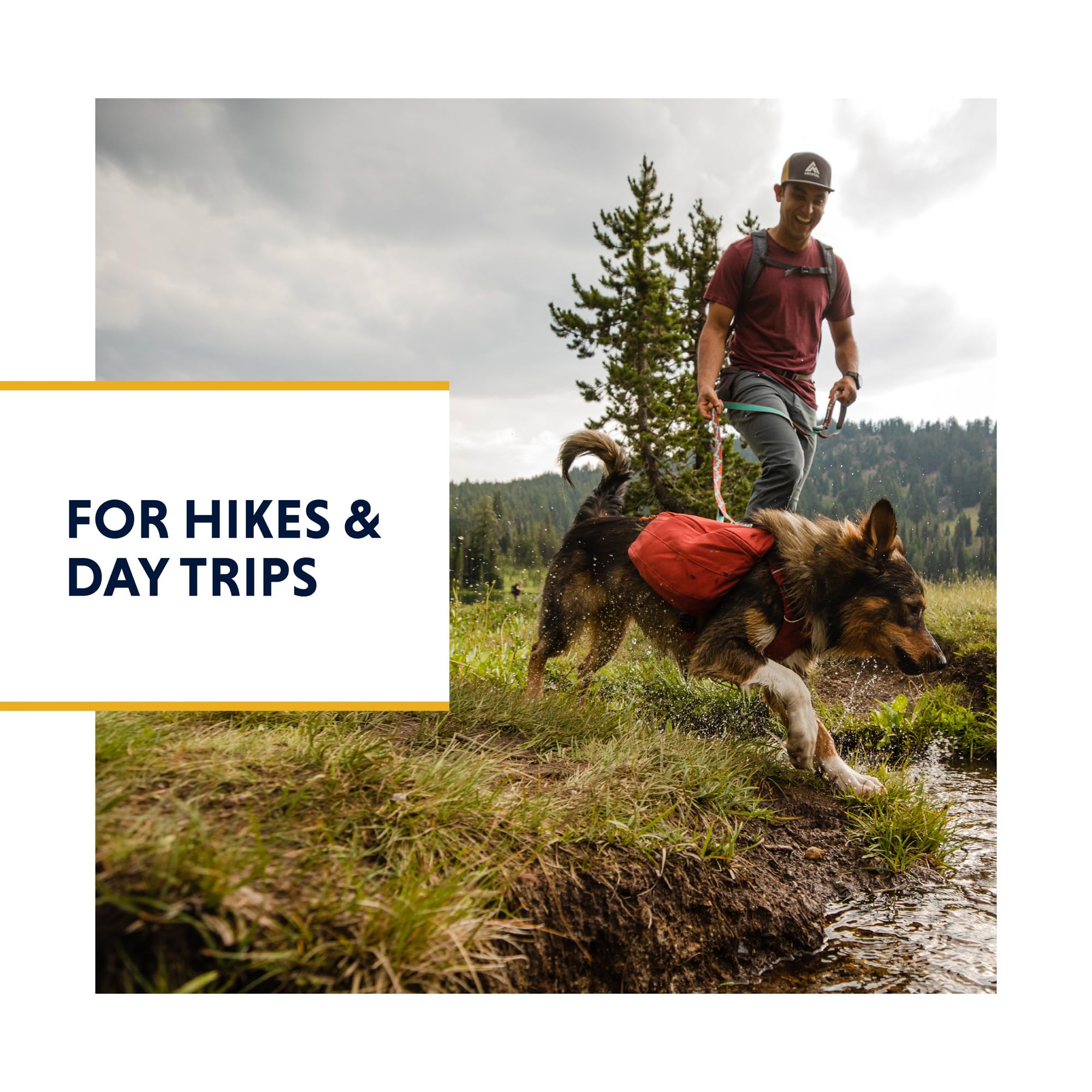 Ruffwear, Front Range Dog Day Pack, Backpack With Handle For Hikes & Day Trips, Basalt Gray, X-Small