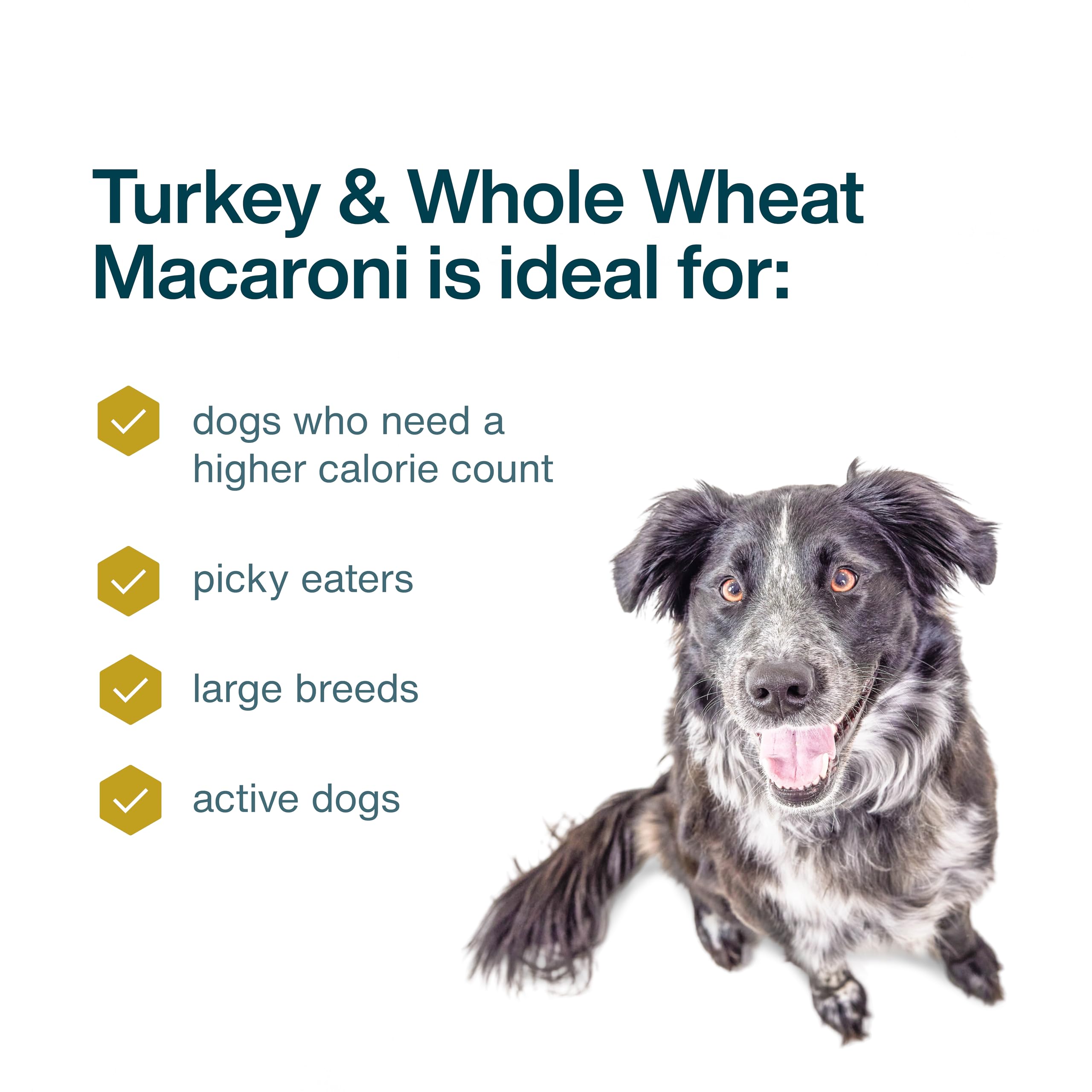 JustFoodForDogs Frozen Fresh Dog Food, Complete Meal or Dog Food Topper, Turkey & Whole Wheat Macaroni Human Grade Dog Food Reci