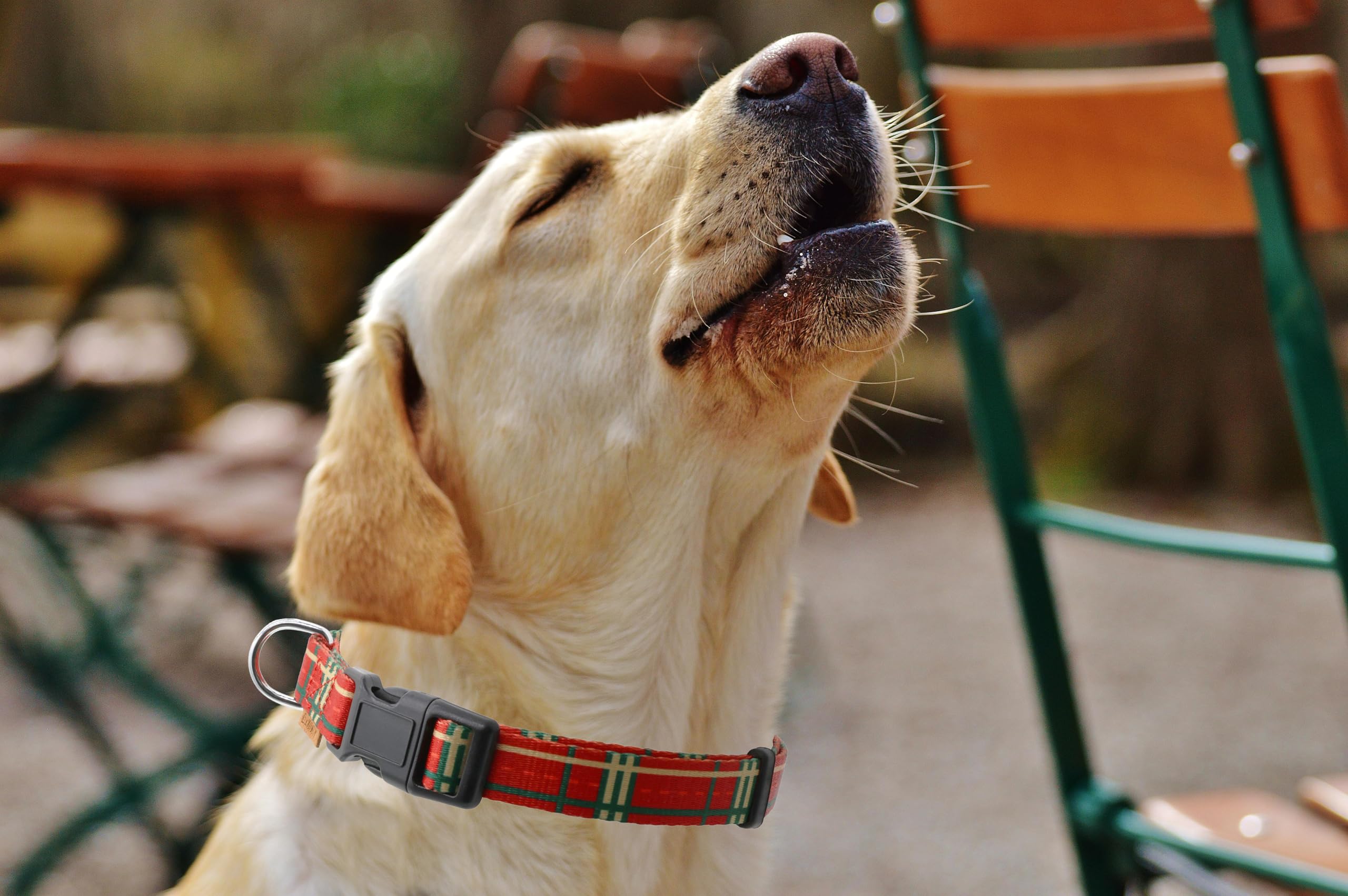 Aiminto Dog Collar, Cute Stripe Pattern, Soft And Adjustable Collar With Quick Release Buckle (L (Neck 16-28'', Width 1''), Stri