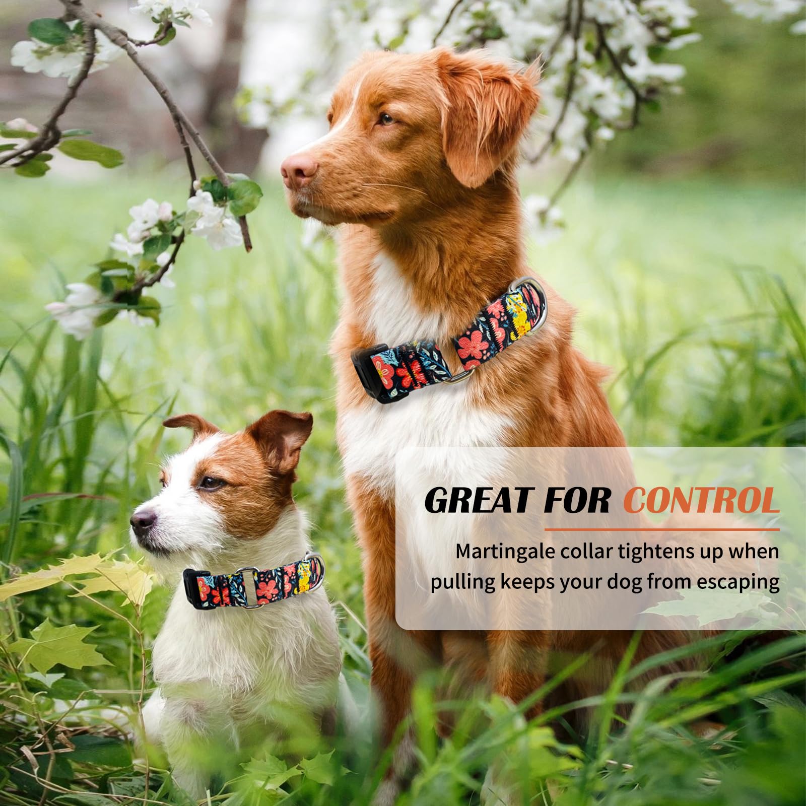 Hikiko Martingale Collar For Dogs Cute Floral Dog Collar For Small Medium Large Dogs Soft Nylon Adjustable Dog Collars (Flower G