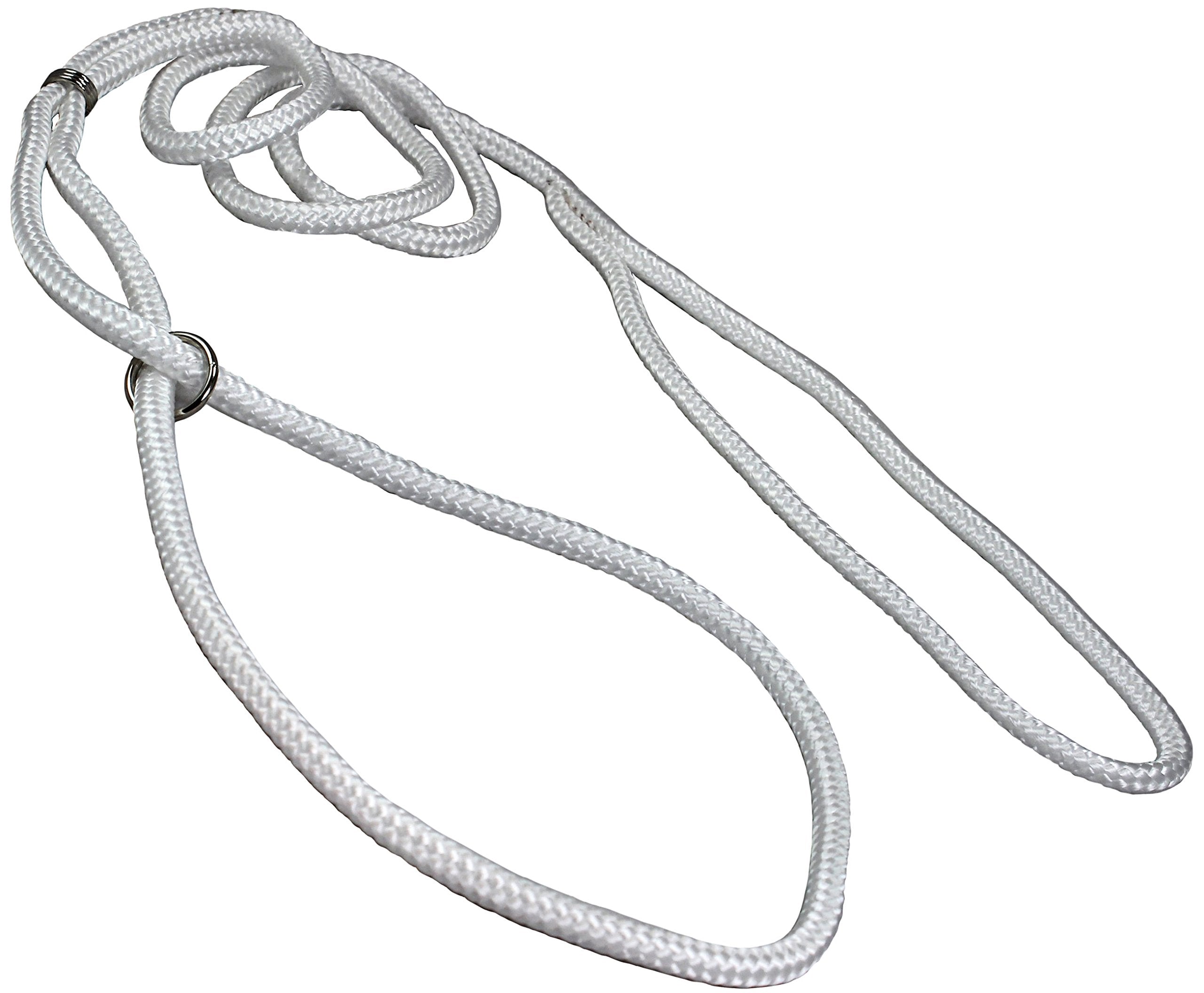 Dog Show Lead Braided Tubular Nylon 52' Long (Small: Diam 1/4'(6Mm), White)
