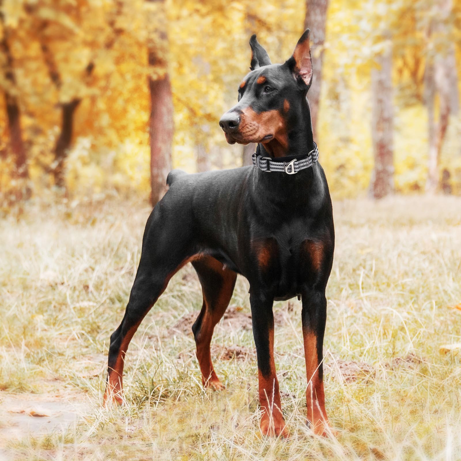 Martingale Dog Collars For Large Dogs, Reflective Nylon No Pull Choke Collar With Padded Comfort & Adjustable Safe Dog Collar No