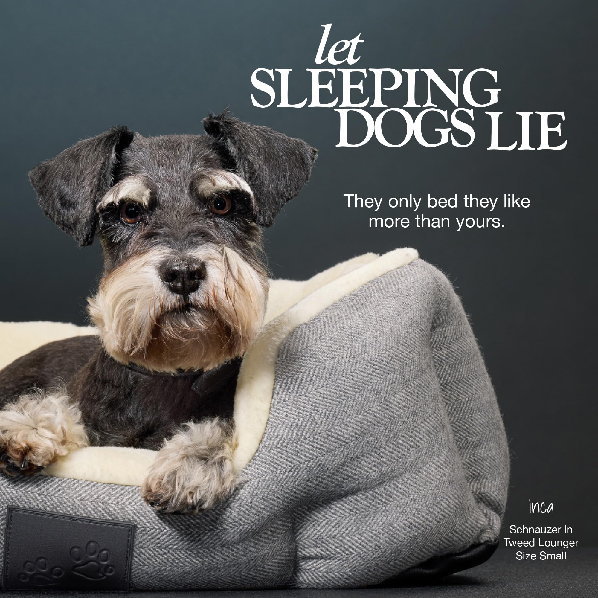 Pet Passion Mello-The Ultra Luxe Bolster Dog Bed With Removable Washable Pillow For All Pet Breeds, Ivory Tweed, Large