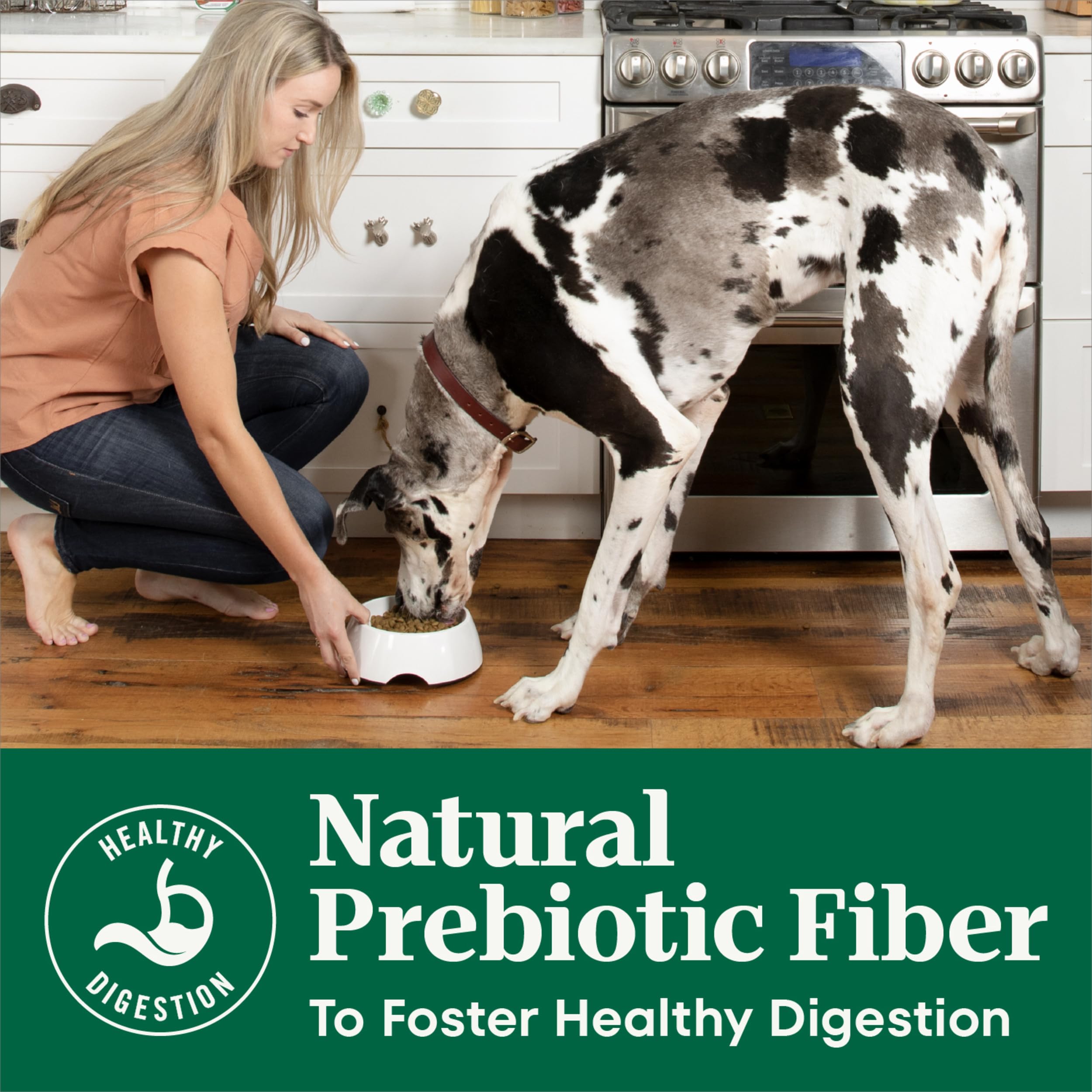 Nutro Natural Choice Adult Large Breed Dog Food, Chicken & Brown Rice, 13 lb Bag