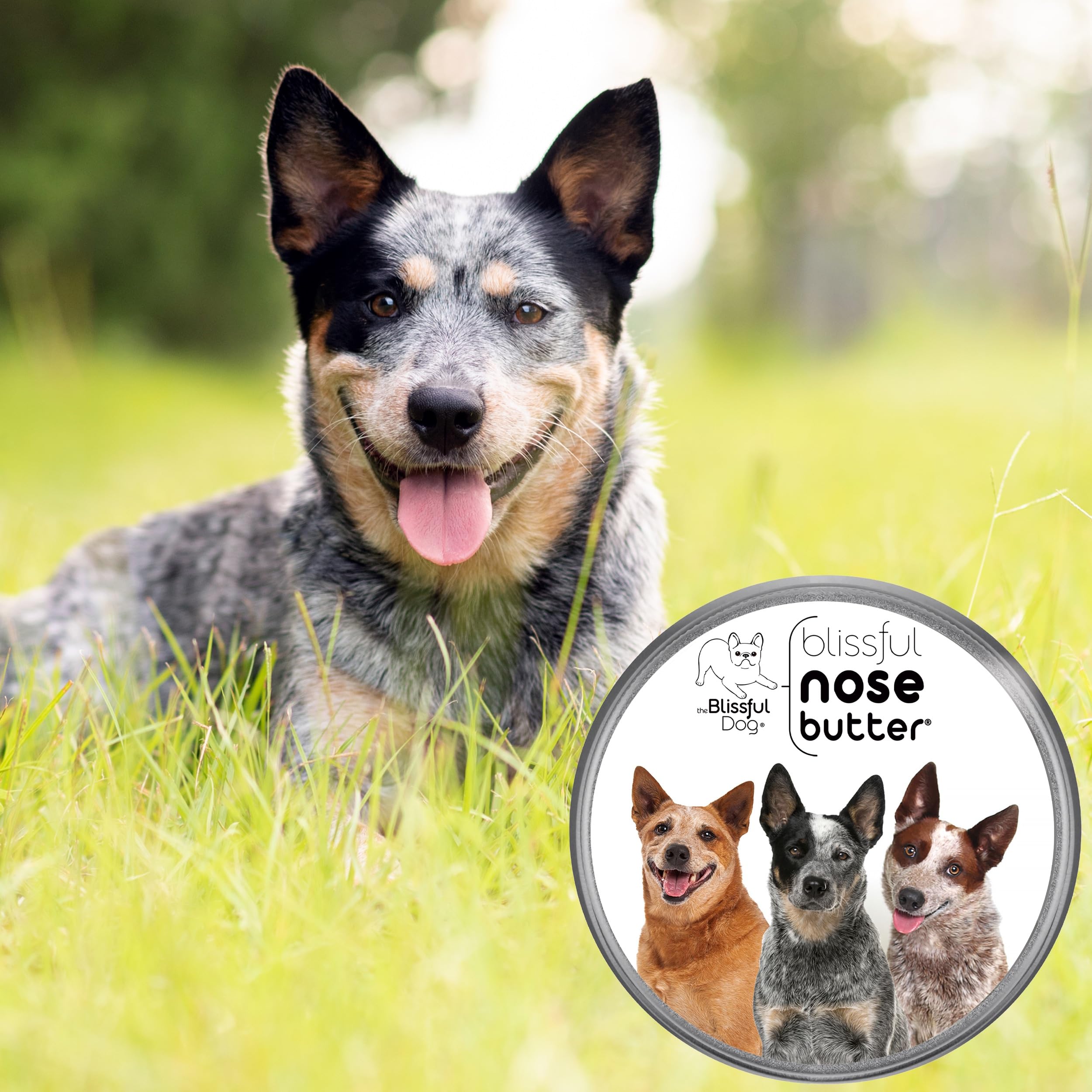 The Blissful Dog Australian Cattle Nose Butter, Versatile Dog Nose Balm for Dry Nose, Handcrafted Nose Moisturizer, Easy-to-Appl