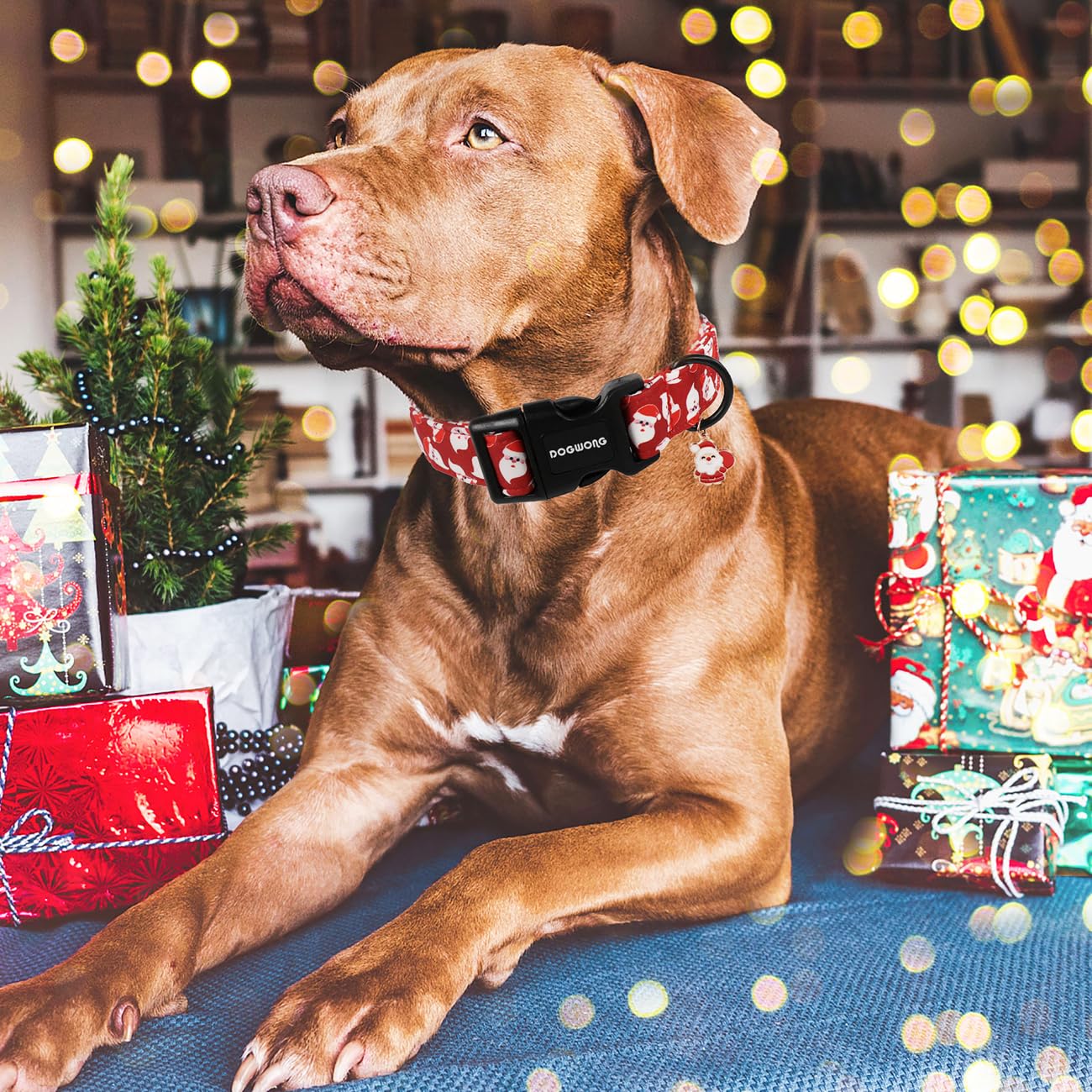 Dogwong Christmas Red Santa Dog Collar - Cute Santa Claus Christmas Dog Collar, Adjustable Designer Collar For Small, Medium, La