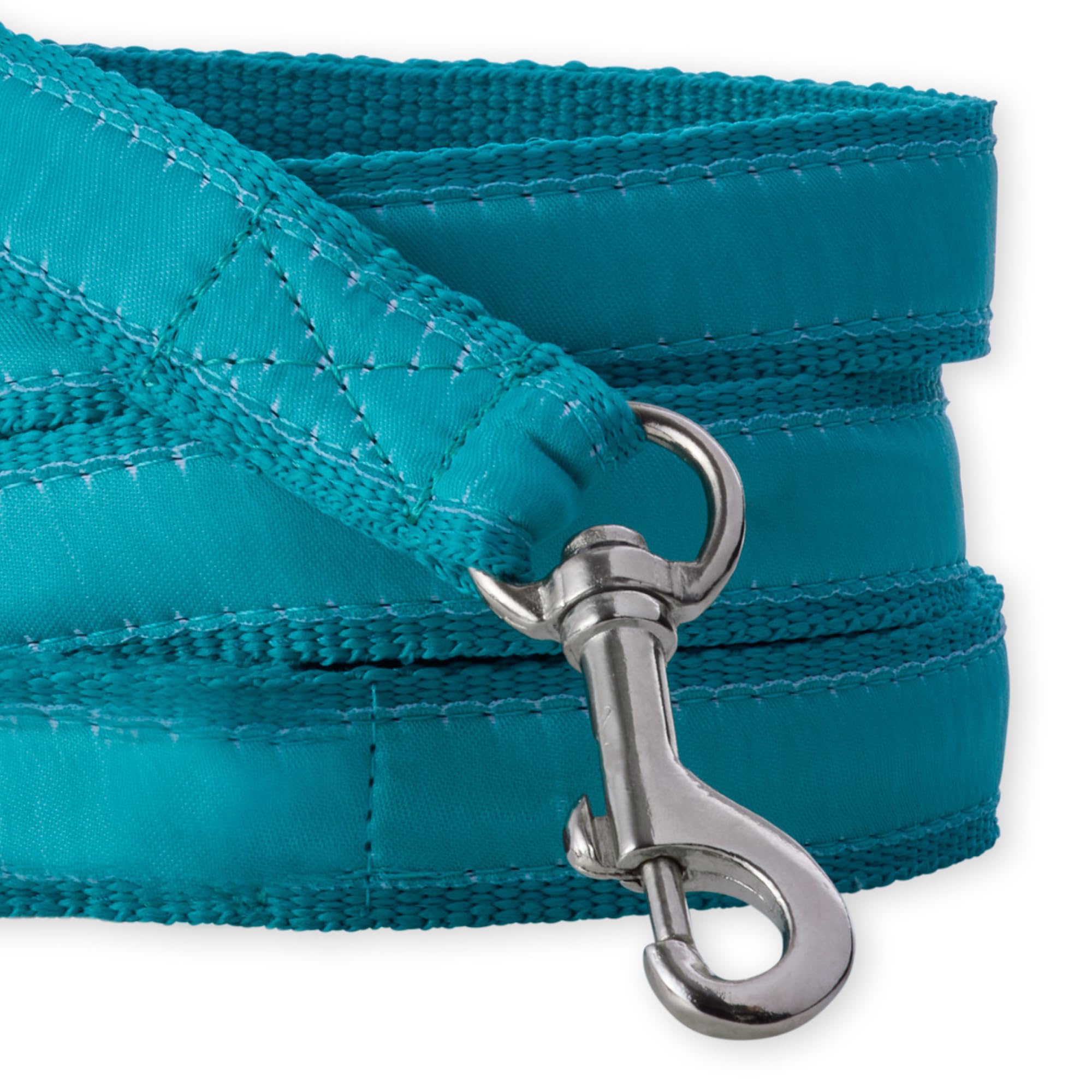 Pet Passion Recycled Ribbon Dog Leash 7 Ft. For All Pet Breeds, Turquoise, One Size