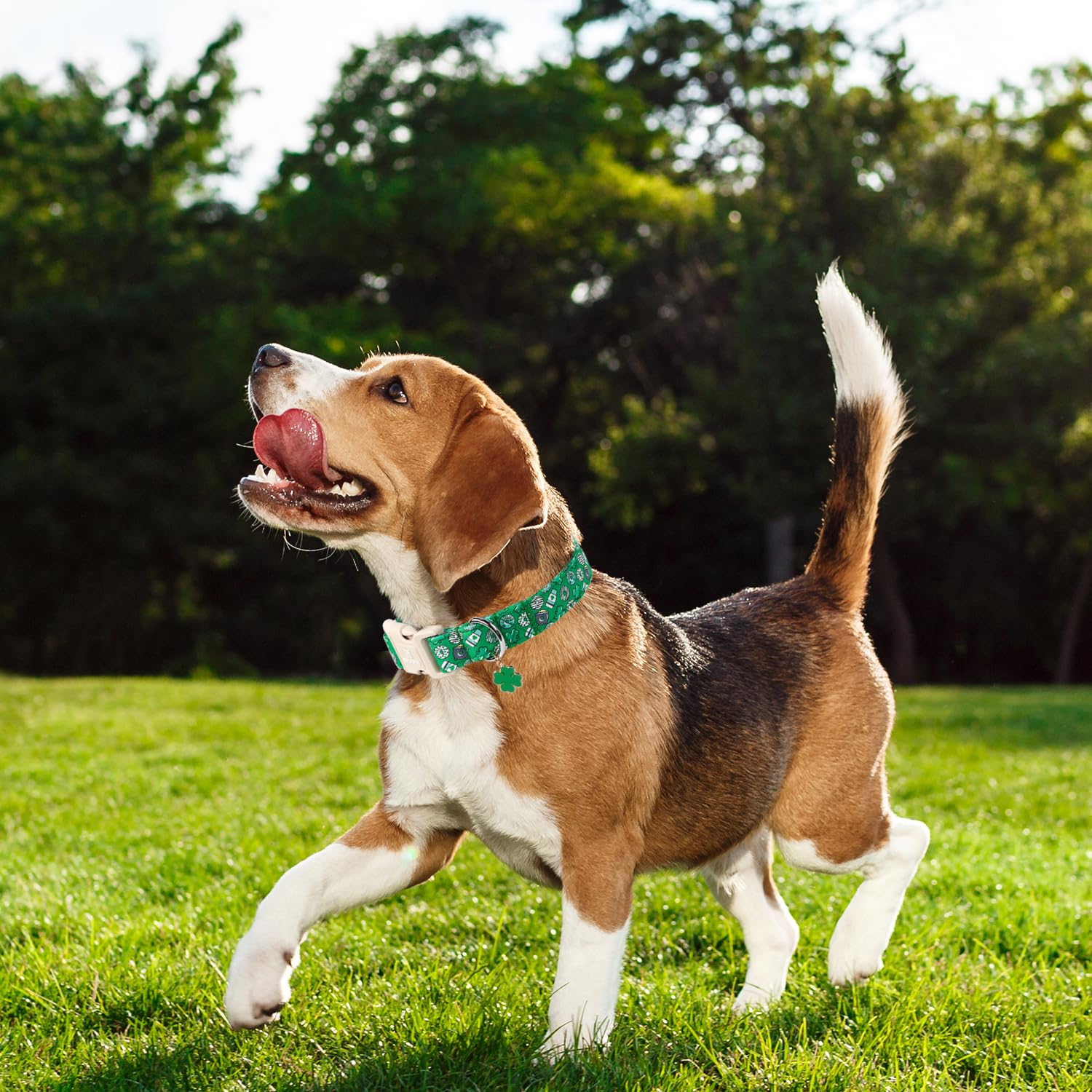 Maca Bates St Patricks Day Dog Collar Irish Clover Dogs Collars Green Donut Soft Adjustable Durable Saint Patrick'S Shamrock Spr