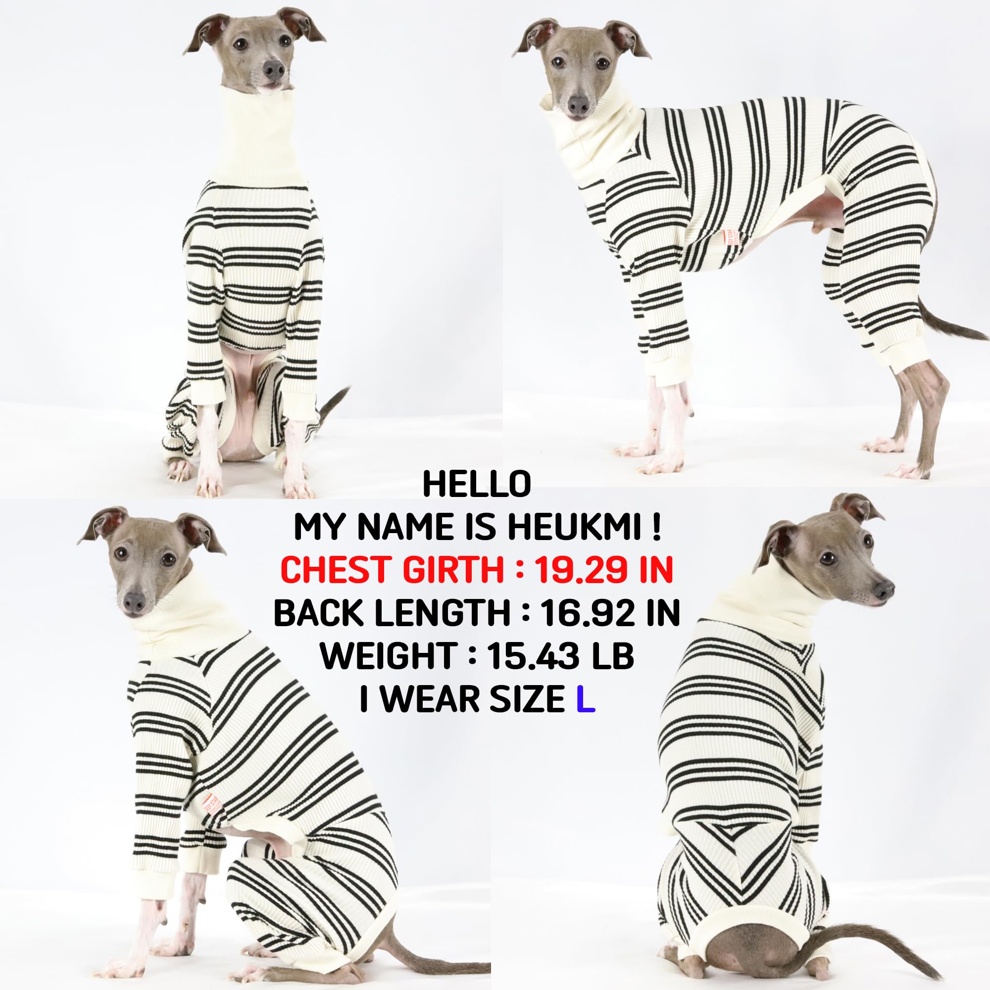 D Doggy Star Italian Greyhound Clothes Soft Stretchy Onesie Refined Stripe Outfit Whippet For Dog Coat (M,Onsi Black Str)