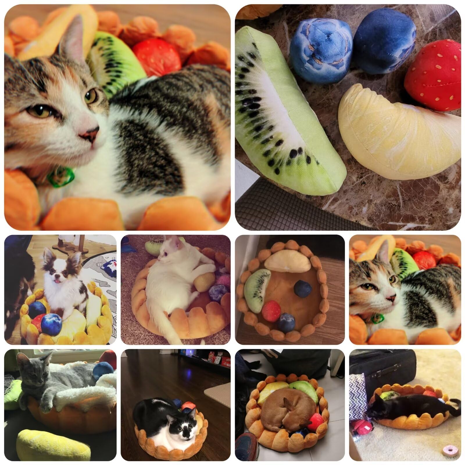S-Lifeeling Fashion Pet Cushion Bed Detachable Updated Version Winter Plush Nest Kennel Lovely Tart Warm Comfortable Extended Dog Mat Pad Cat Mat (Tart-Large)