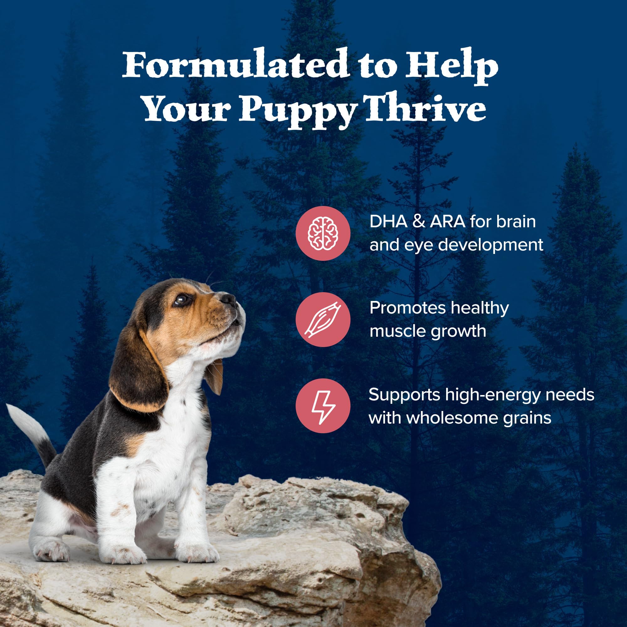 Blue Buffalo Wilderness High-Protein Natural Dry Food for Puppies, Salmon Recipe, 24-lb. Bag