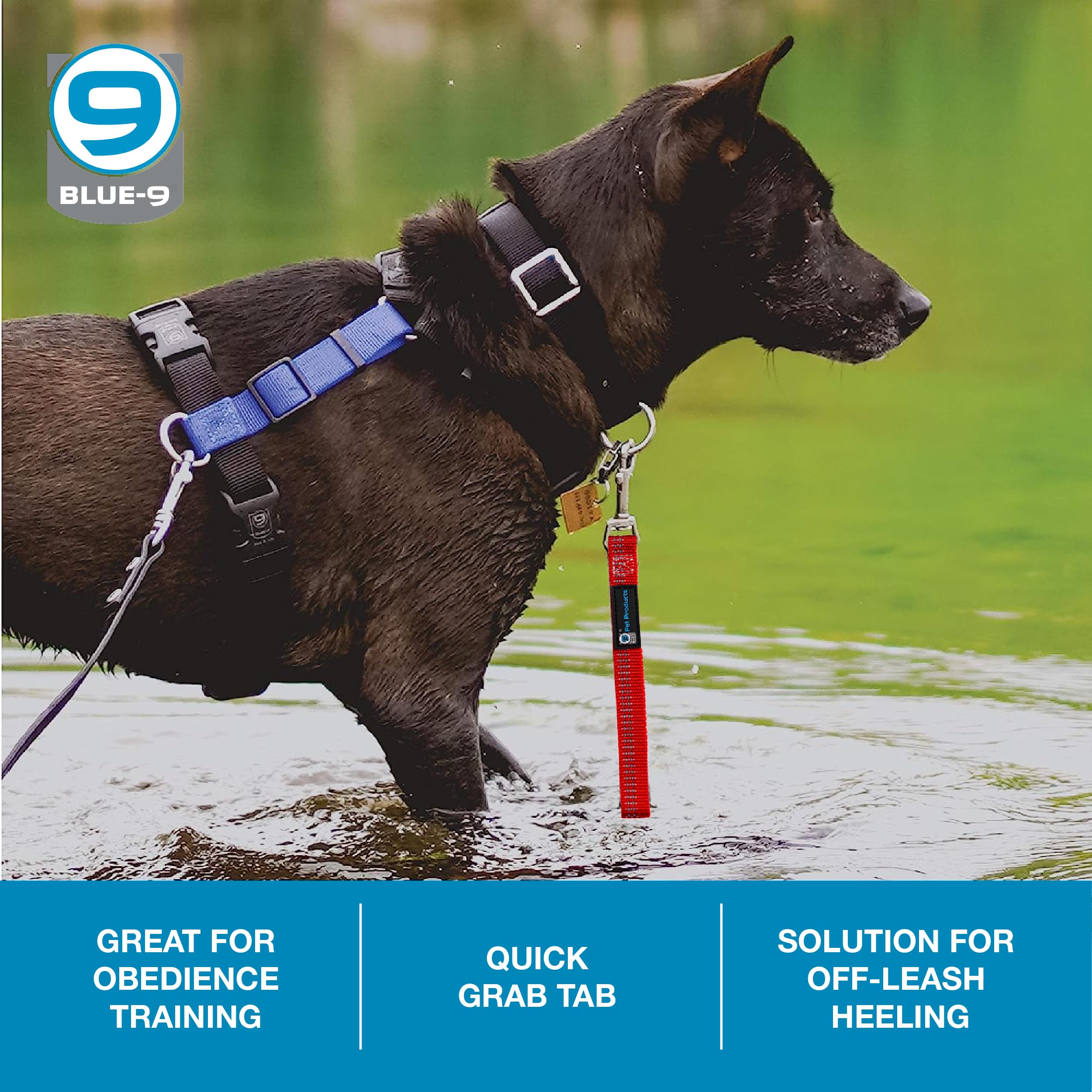 Blue-9 Reflective Dog Training Leash, 9 Inch Tab Lead With 3M Reflective Stitching For Obedience, Recall, And Agility Training,