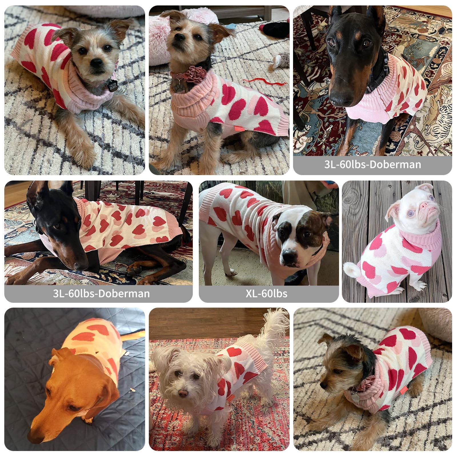 Kyeese Dogs Sweaters Small Dog Sweaters Red Heartwith Leash Hole Pet Sweater Pet Clothes,M