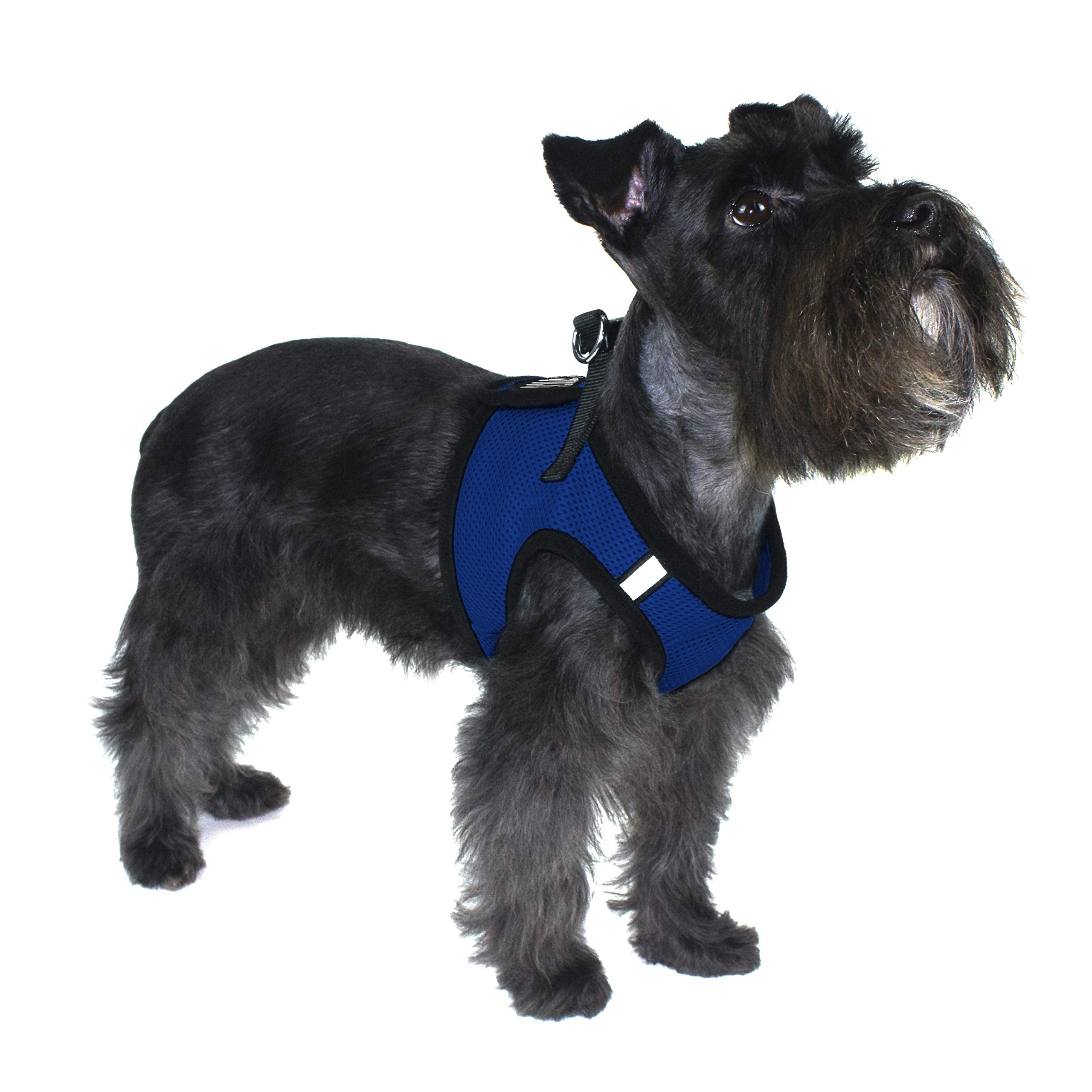Dogline Boston Step In Mesh Dog Harness With Blind Dog Patch No Choke Pet Vest Soft Gentle Padded Chest Halter For Puppies Small Medium And Large Dogs 16 To 18 Inches Girth Royal Blue