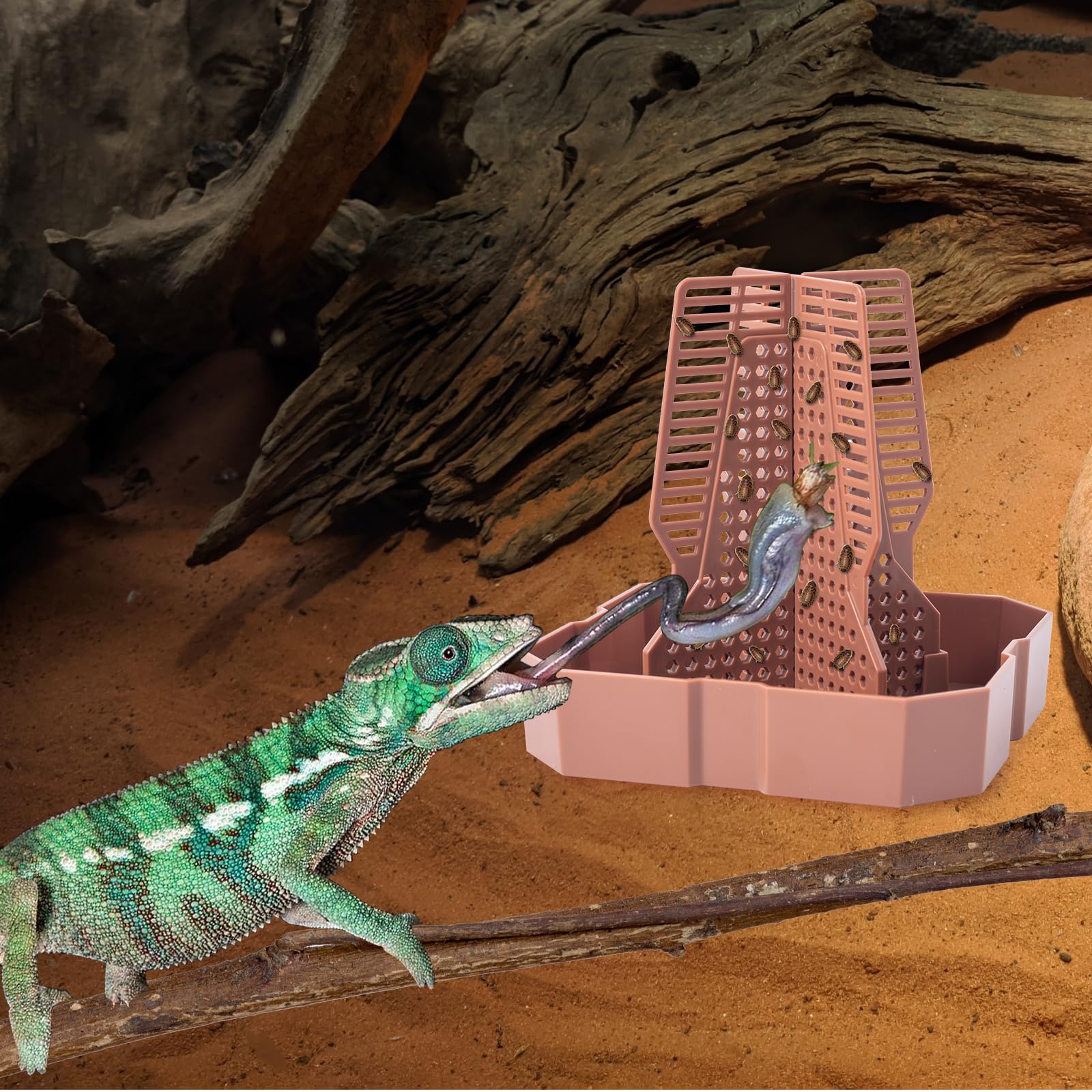 Reptile Feeder Bowls With Climbing Ladder For Chameleon,Bearded Dragon,Guardians Hunting Bugs Keep Training Terrarium Bowls For