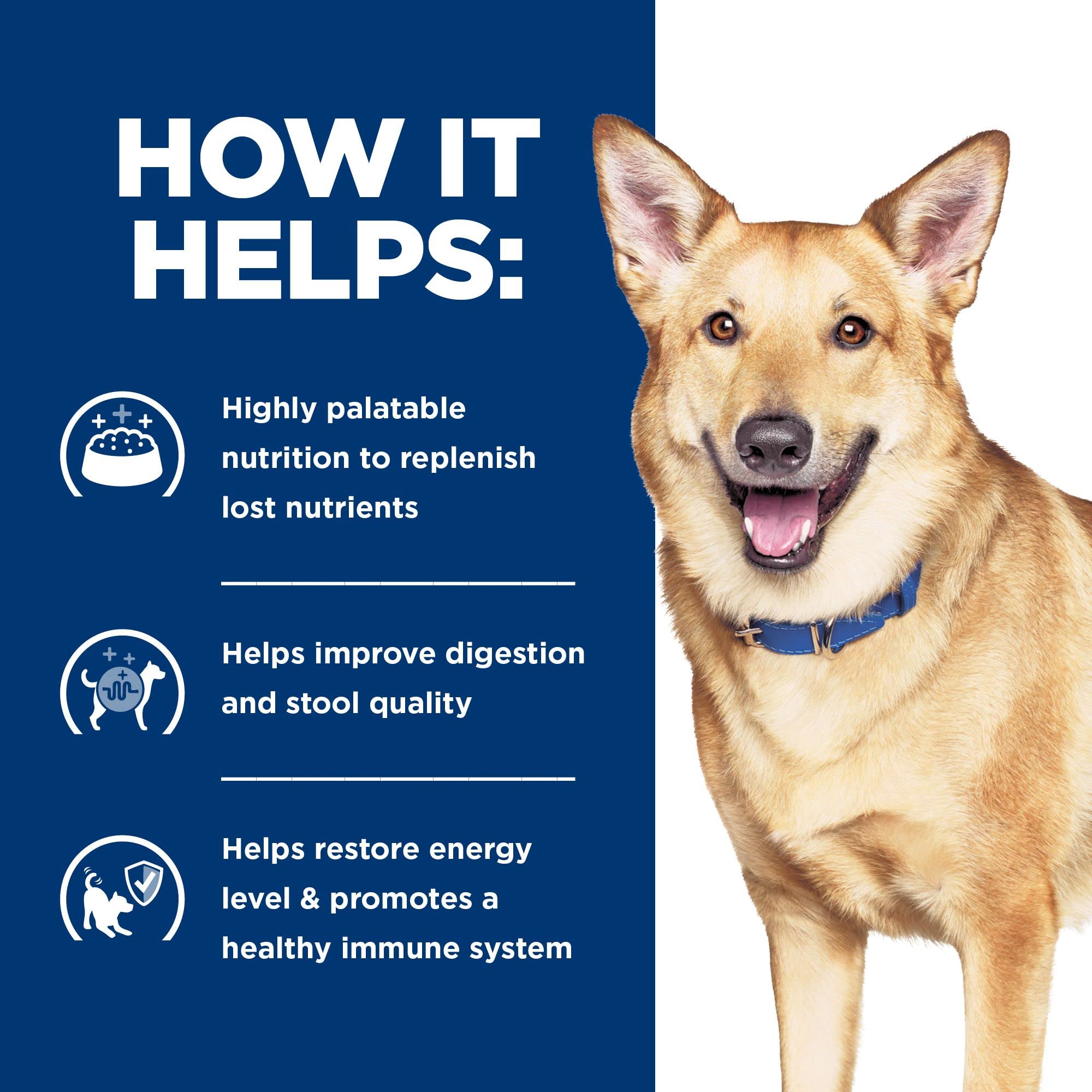 Hills Prescription Diet i/d Digestive Care Chicken & Vegetable Stew Canned Dog Food, Veterinary Diet, 12.5 oz., 12-Pack Wet Foo