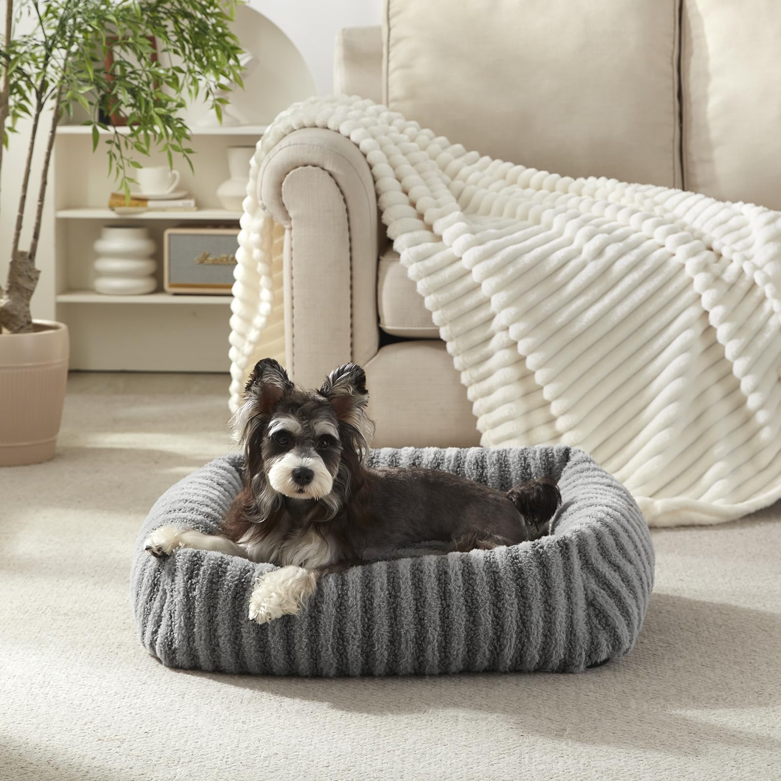 MIXJOY Dog Beds for Small Dogs Cats, Soft Cat Bed for Indoor Cats, Rectangle Pet Bed for Puppy Kitty, Washable Dog Bed with Remo