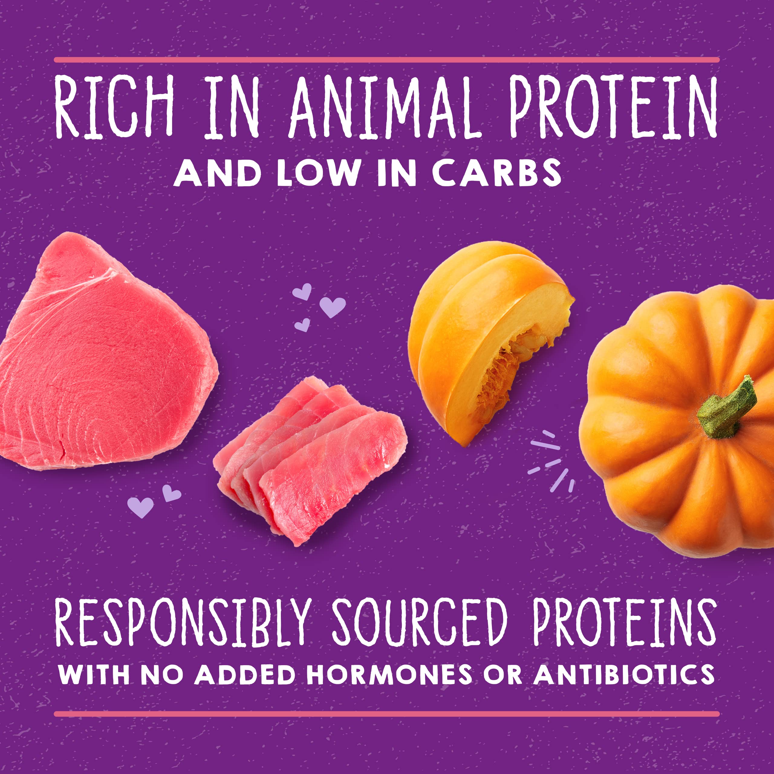 Stella & Chewys Carnivore Cravings Purrfect Pate Cans - Grain Free, Protein Rich Wet Cat Food - Tuna & Pumpkin Recipe - (5.2 Ou