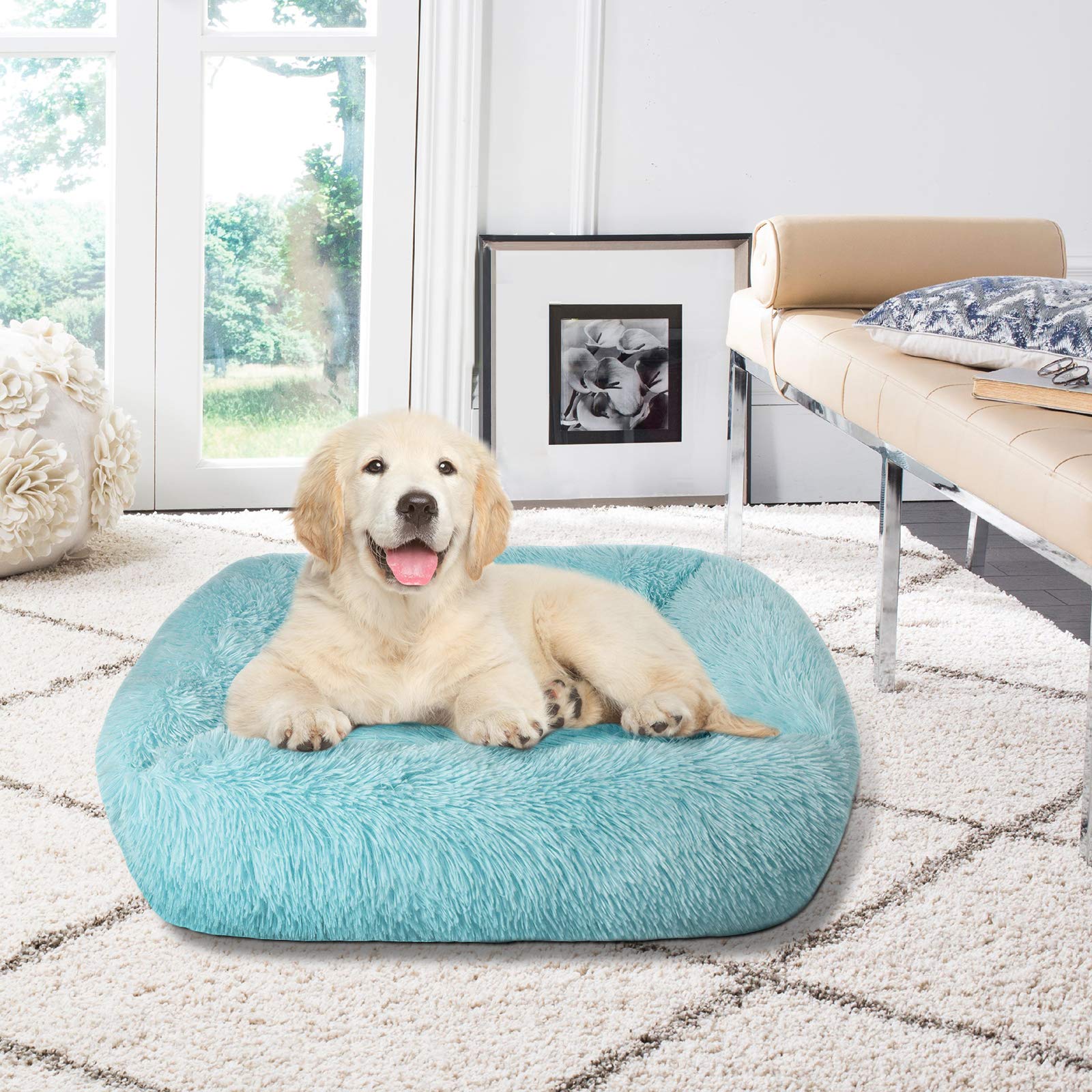 Lucky Monet Dog Bed For Large Dogs - 31.5'' X 27.6'', Soft Calming Bed With Sides - Washable, Teal
