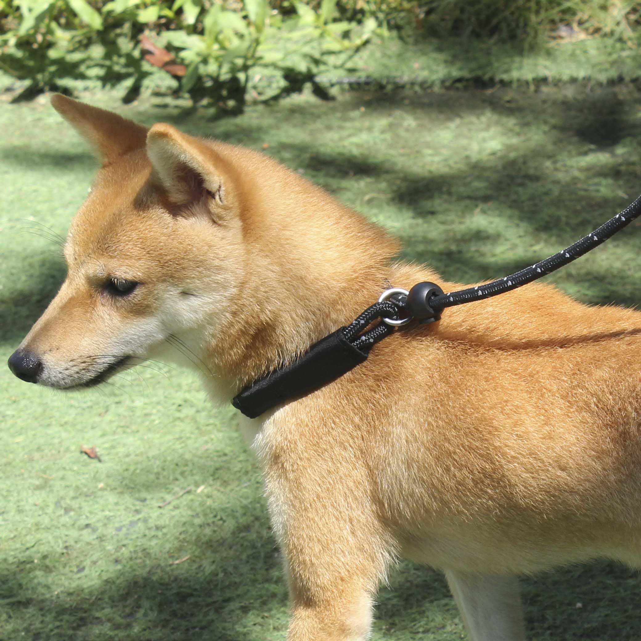 Hiado Slip Lead Dog Leash Reflective Soft With Stopper Loop Rope Training No Pull For Small Medium Dogs 6Ft Black