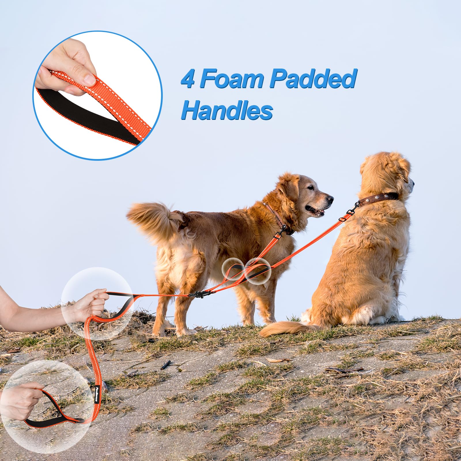 Petbonus Double Dog Leash, No Tangle Dual Dog Leash, Reflective Walking Training Leash, 4 Comfortable Padded Handles For 2 Dogs With Collapsible Bowl And Waste Bags (Orange, Large)