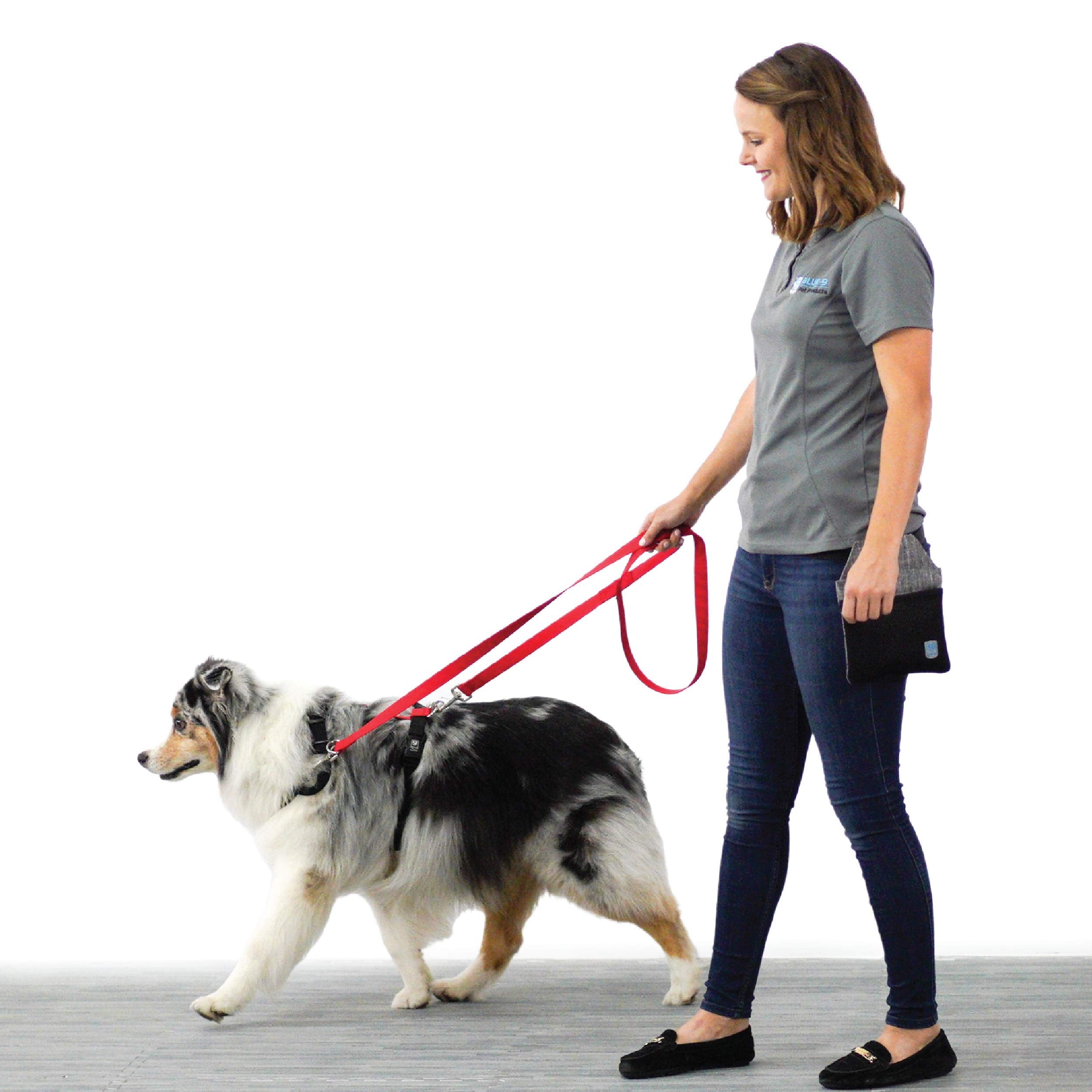 Blue-9 Multi-Function Hands Free Dog Leash, Double Attachment 6 Foot Adjustable Lead For Obedience, Running, And Agility Training (Blue, Medium Large)