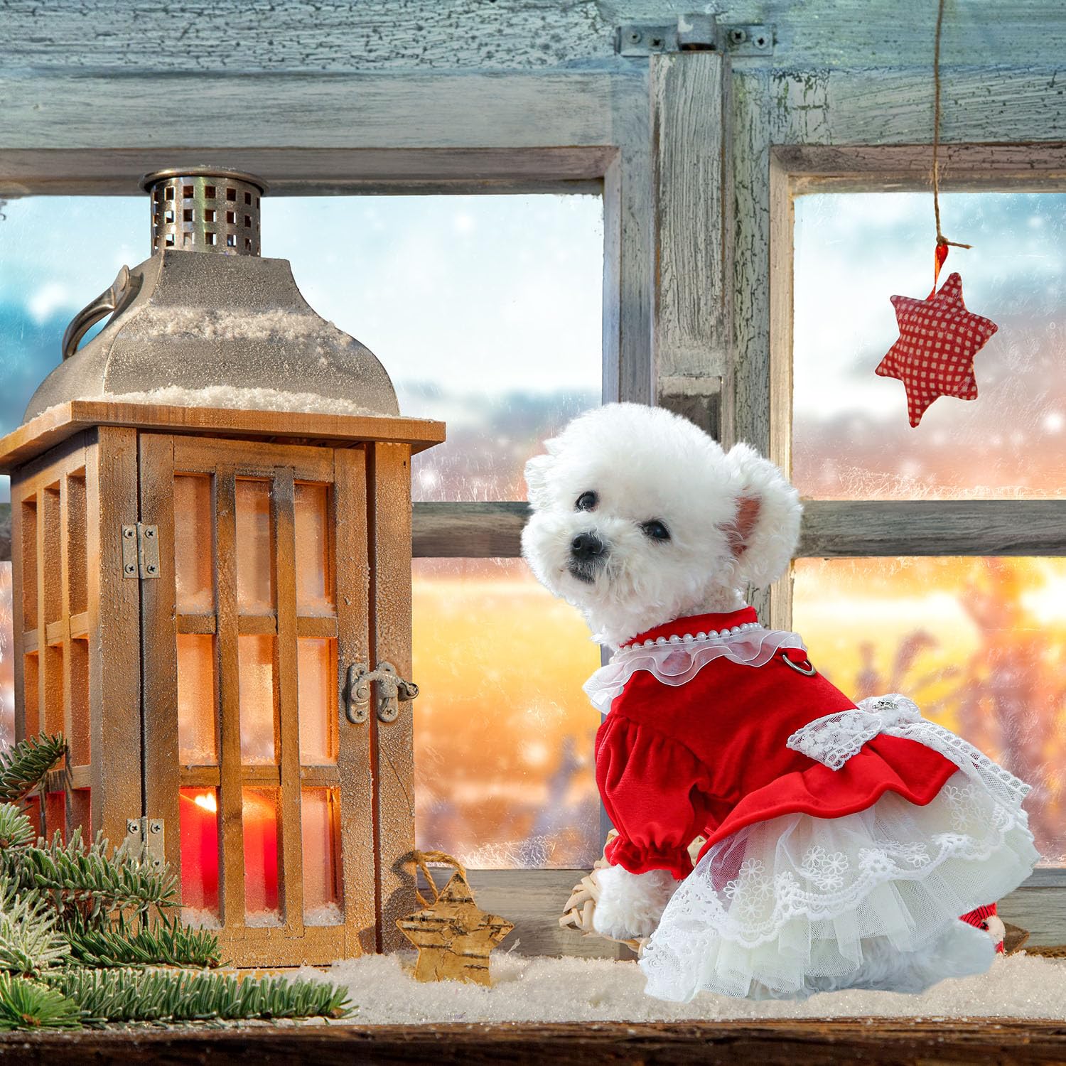 Fladorepet Dog Christmas Costume Outfits,Red Velvet Small Dog Bowknot Pearl Dress Tutu Skirt, Winter Cat Clothes Pet Apparel(Red
