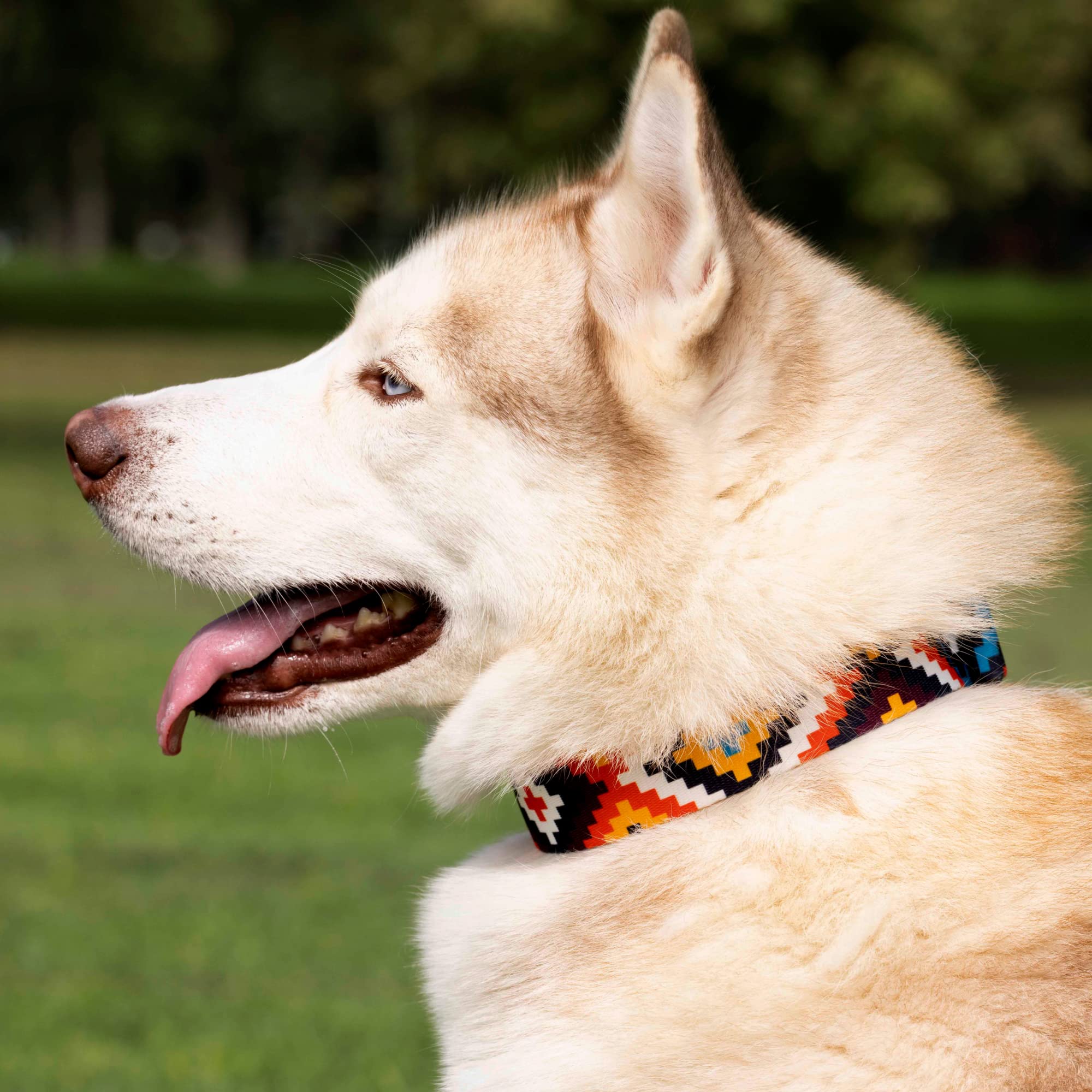 Collardirect Aztec Dog Collar Adjustable Nylon Tribal Pattern Geometric Pet Collars For Dogs Small Medium Large Puppy (Ethnic Te