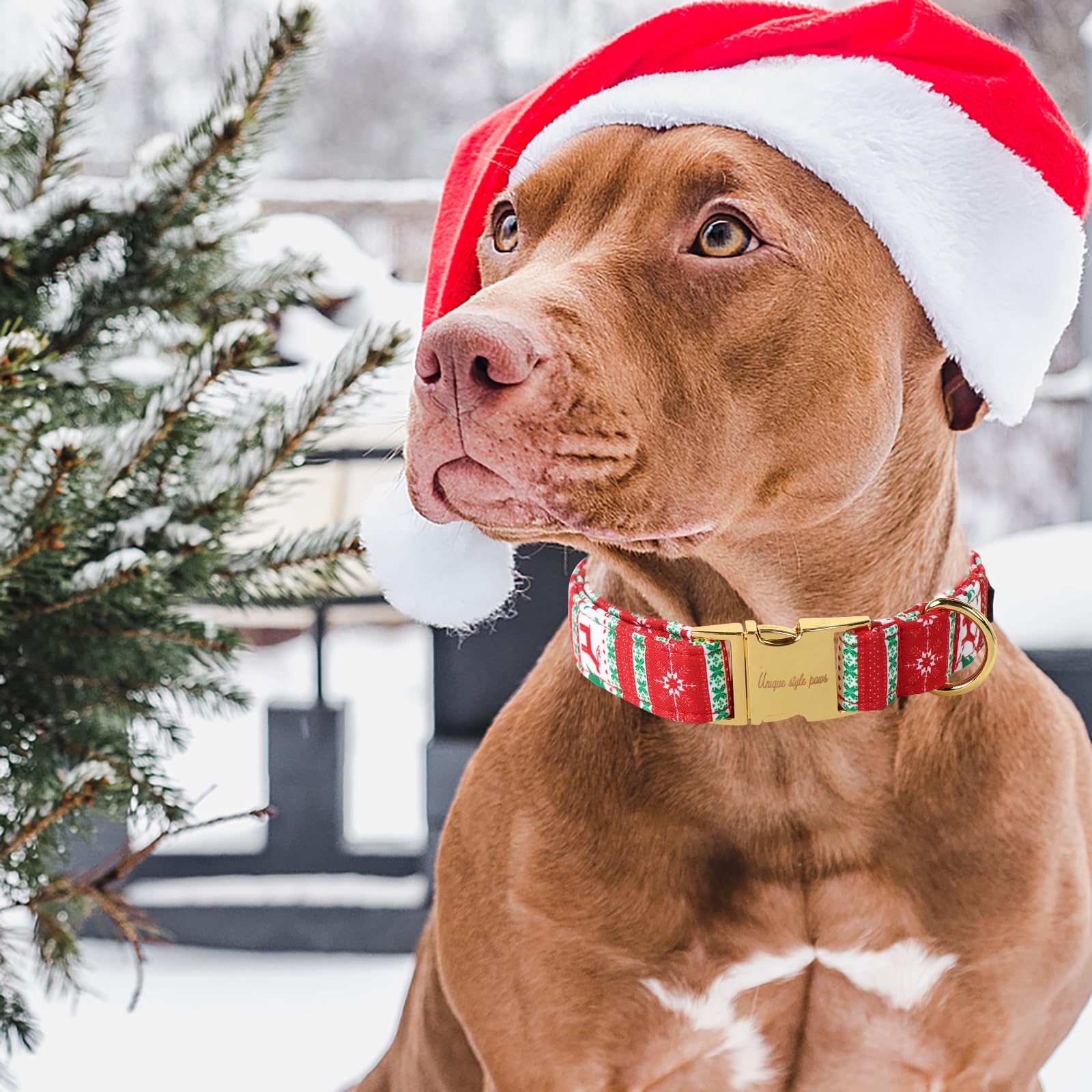 Unique Style Paws Christmas Dog Collar Metal Buckle Christmas Tree Puppy Collar Gift Durable Cute Collar For Small Medium Large