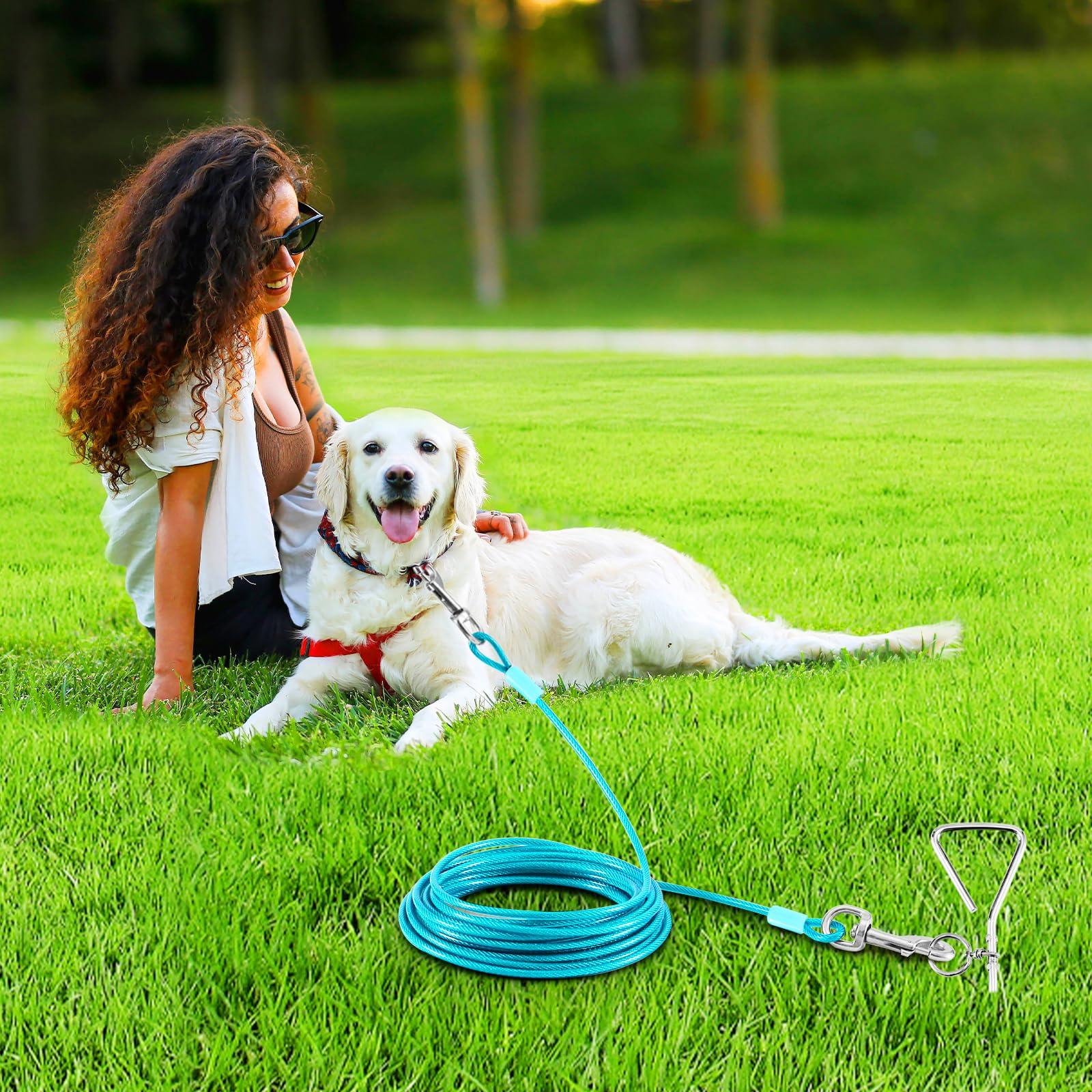 Dog Tie Out Cable And Stake,30Ft Outside Dog Run Cable Leash&Chain With Hand Strap For Camping And Yard, 16'' Heavy Duty Anti Ru