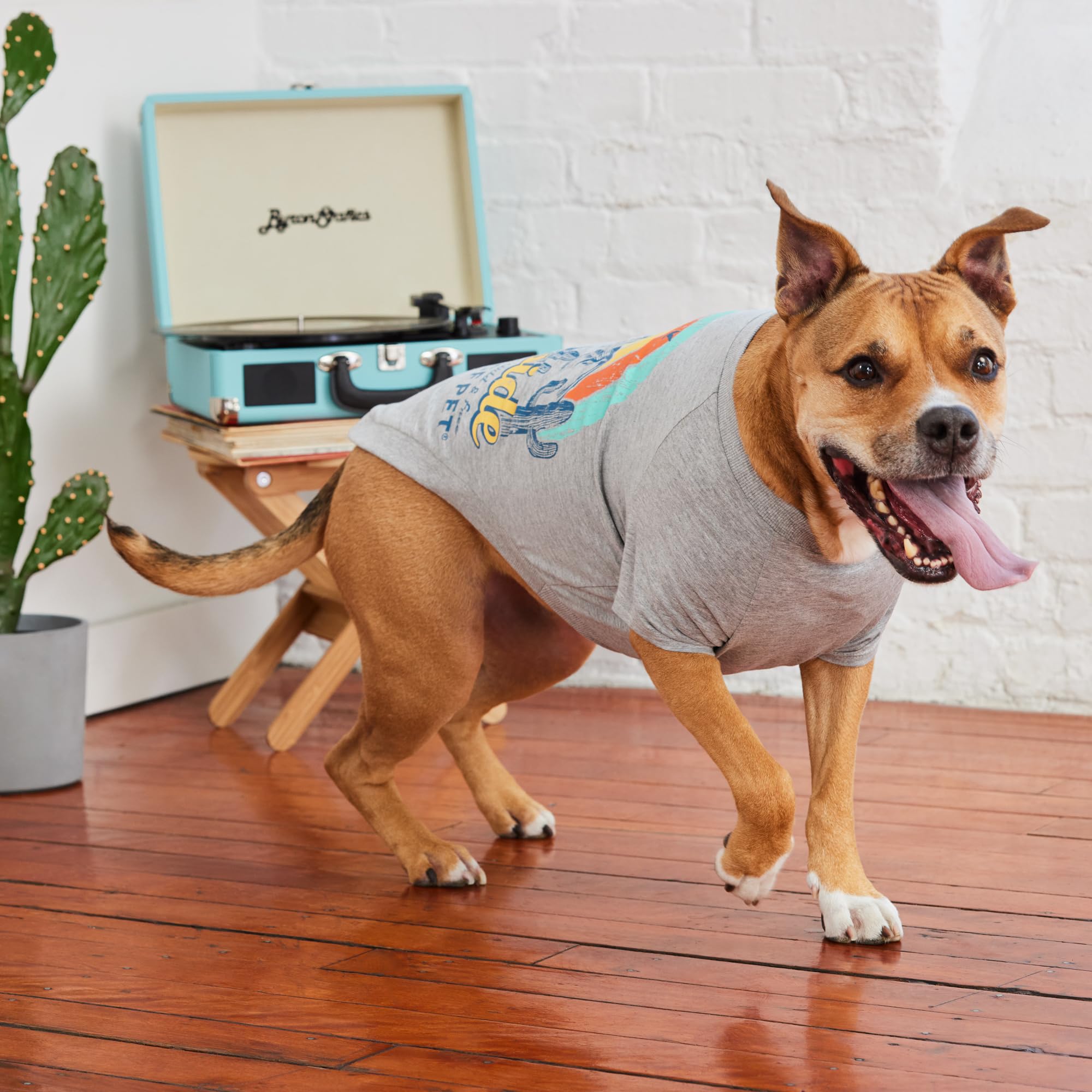 Gf Pet - Graphic Tee Dog T-Shirt (Heather Grey, Xx-Large)