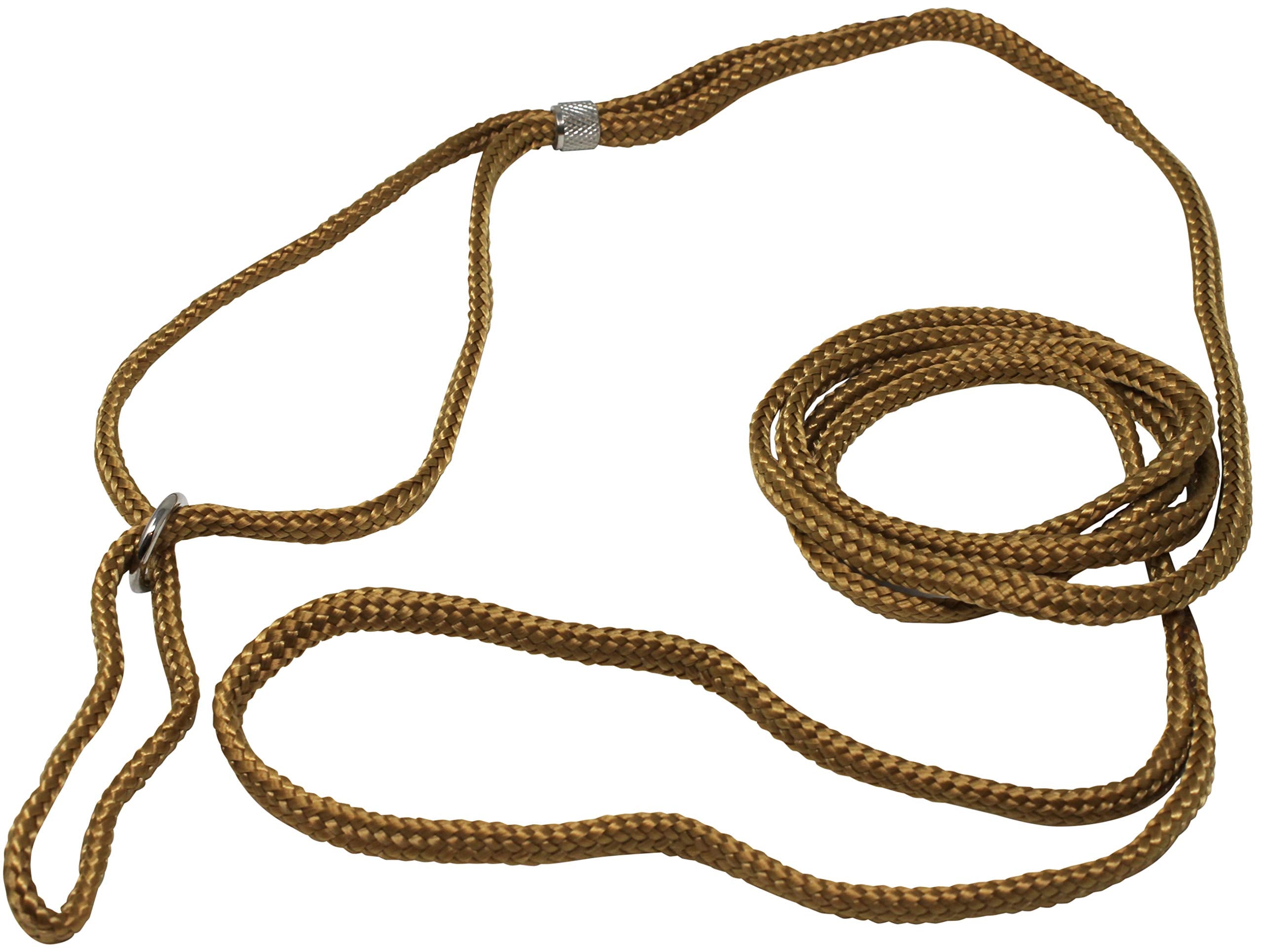 Dog Show Lead Braided Tubular Nylon 52' Long (Xsmall: Diam 5/32'(4Mm), Beige)