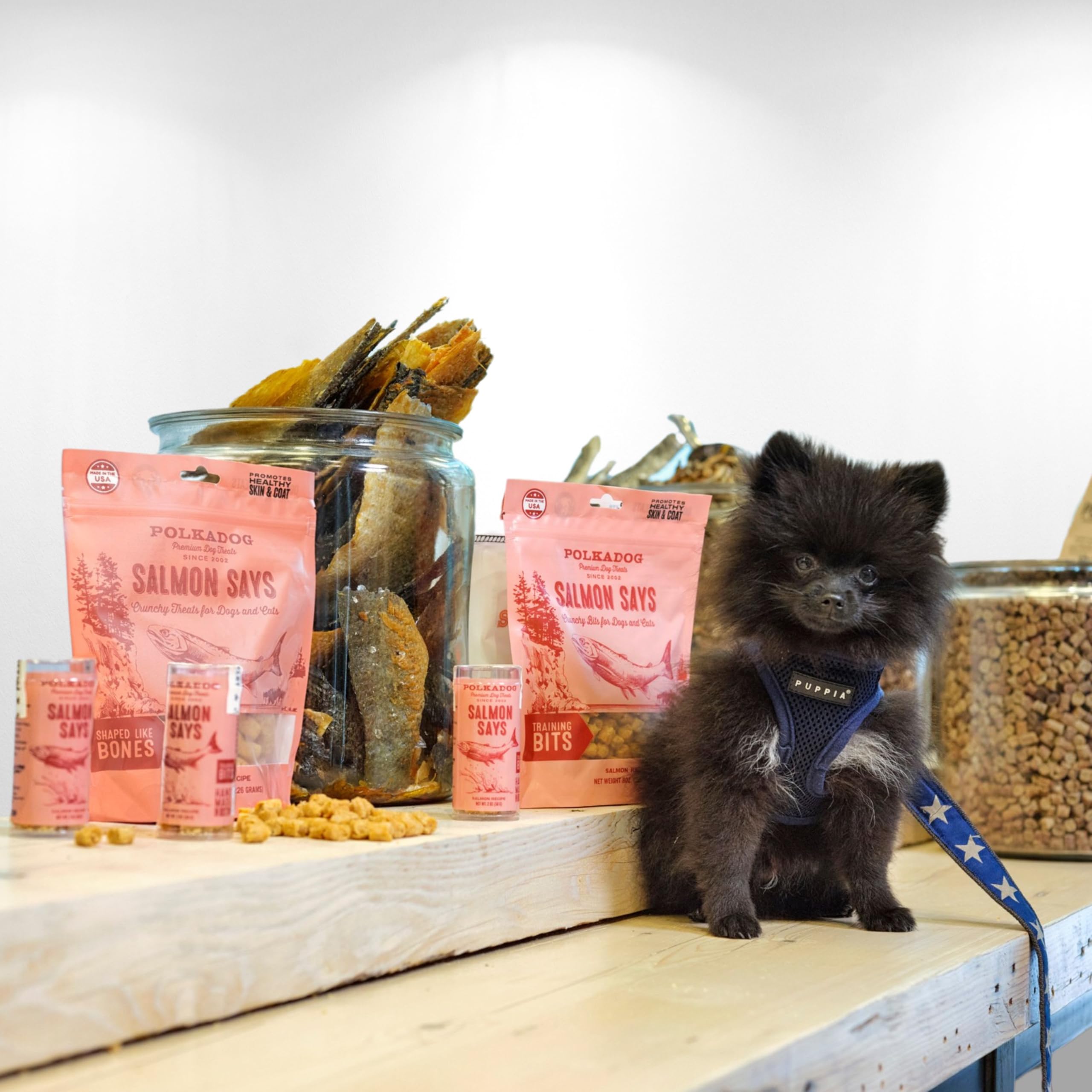 Polkadog Salmon Says Training Bits - Omega-3 Rich, Low Fat Healthy Dog Treat - Digestible, Vitamin & Mineral Packed Dog Snacks -