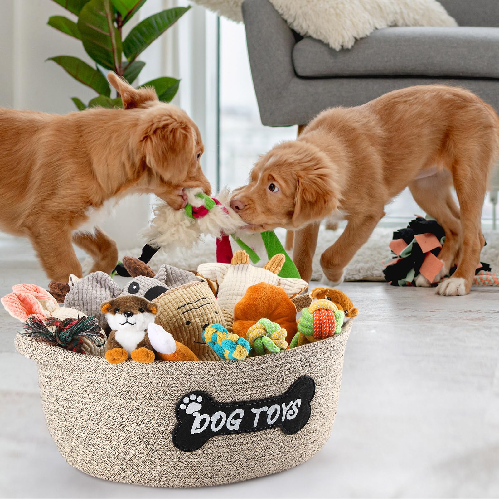 Teenyyou 2 Pcs Toy Basket Handwoven Cotton Rope Pet Toys Storage Cute Patch Design Chew Proof Toy Clothing Holder Organizer Box