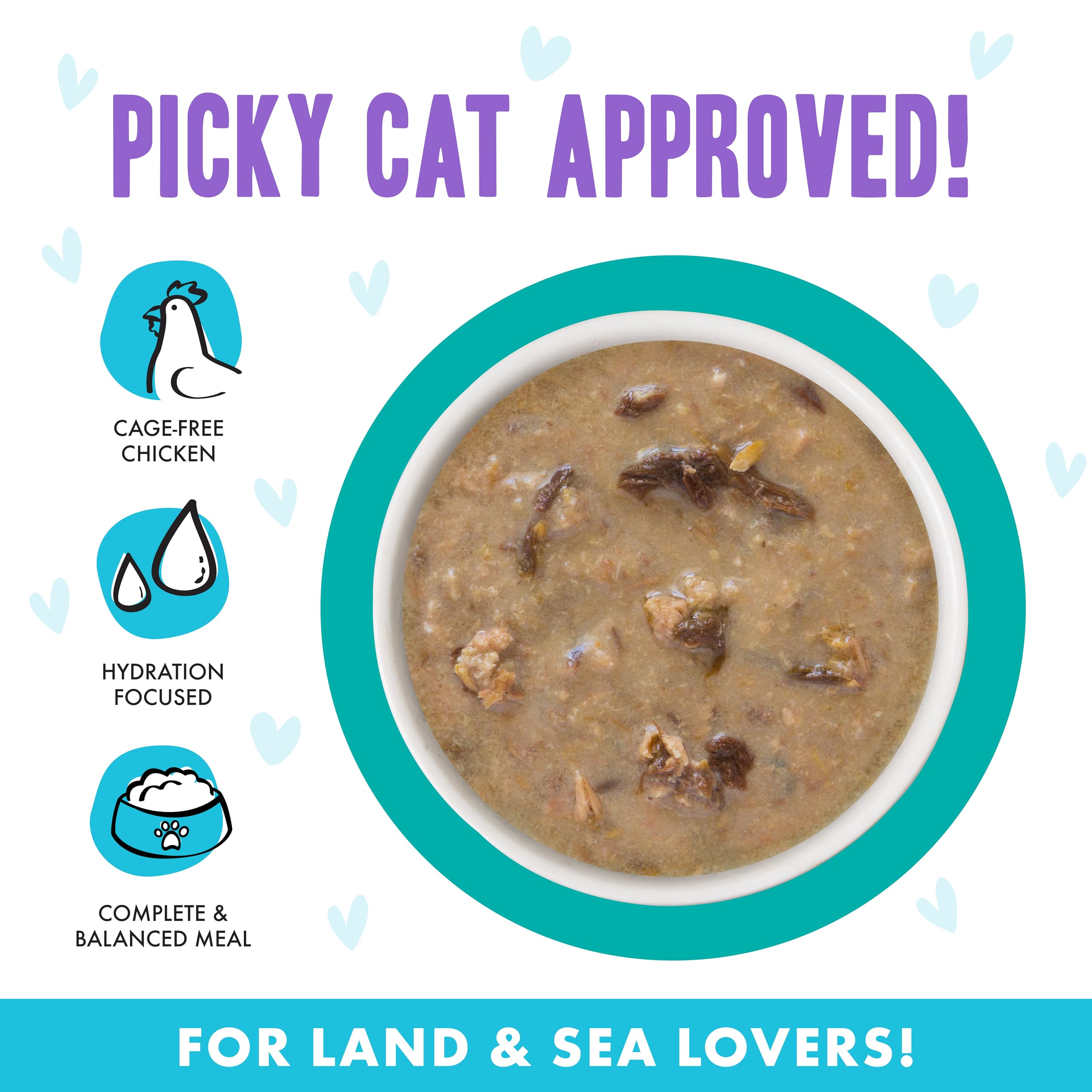 Weruva B.F.F. OMG - Best Feline Friend Oh My Gravy!, QT Patootie! with Chicken & Turkey in Gravy Cat Food, 5.5oz Can (Pack of 8)