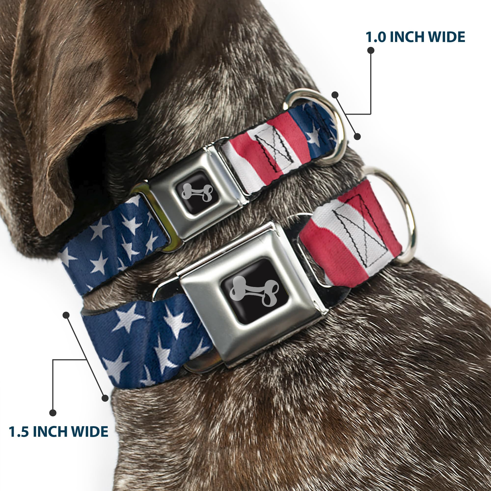 Dog Collar Seatbelt Buckle American Flag Vertical Close Up 15 To 26 Inches 1.0 Inch Wide