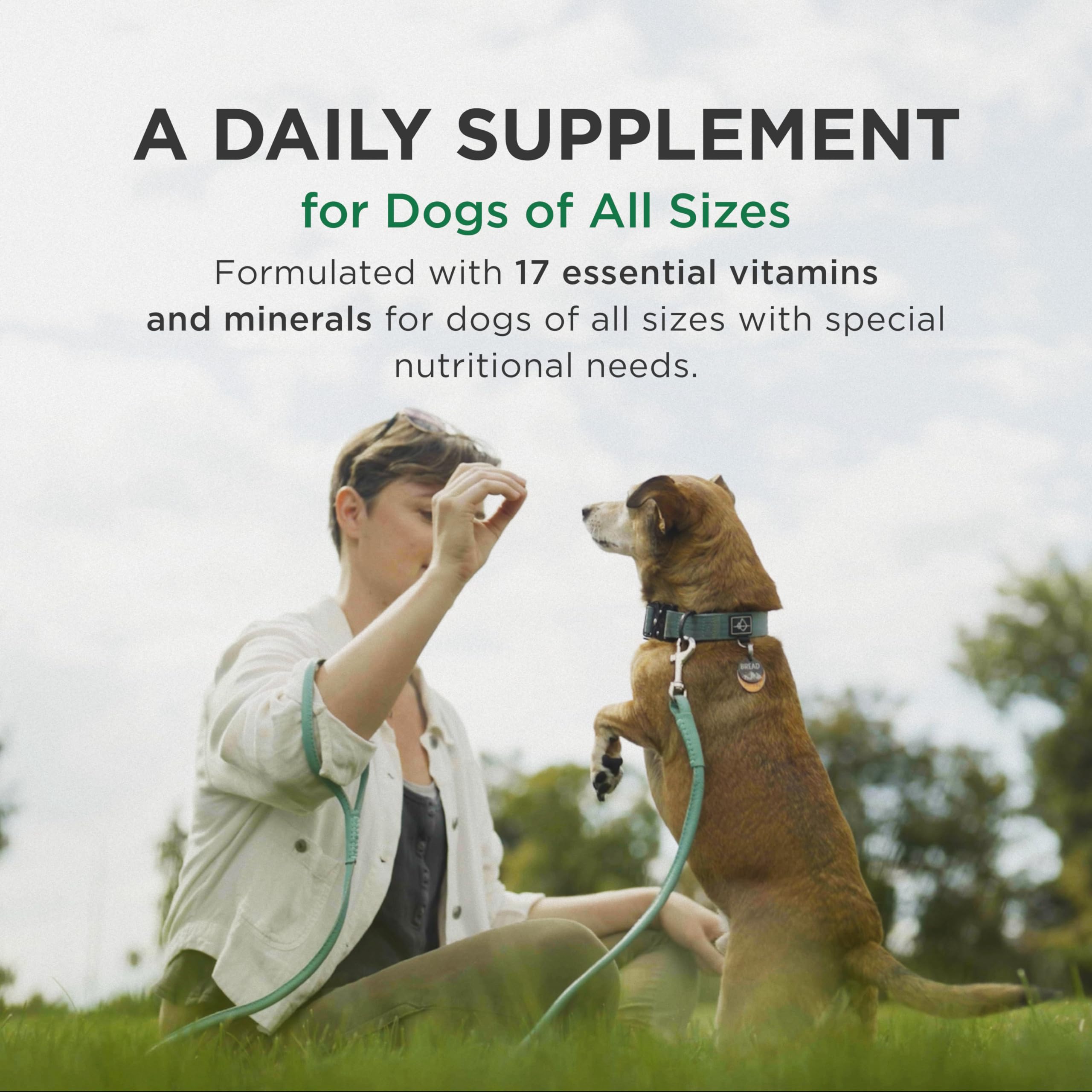 Pet-Tabs Multivitamin and Mineral Supplement for Dogs with Special Nutritional Needs, Chewable Tablet, 500 Count Bottle for Mult