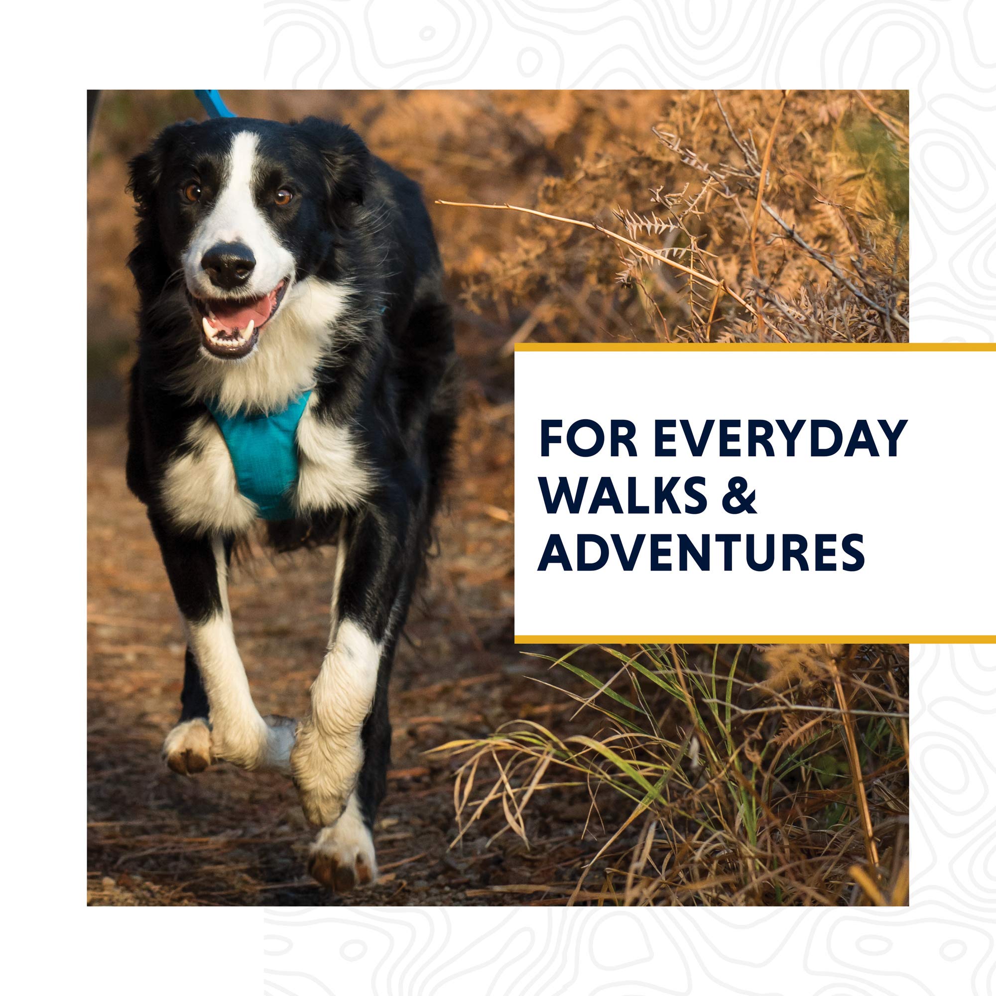 Ruffwear, Front Range Dog Leash, 5 Ft Lead With Padded Handle For Everyday Walking, Mountains Logo