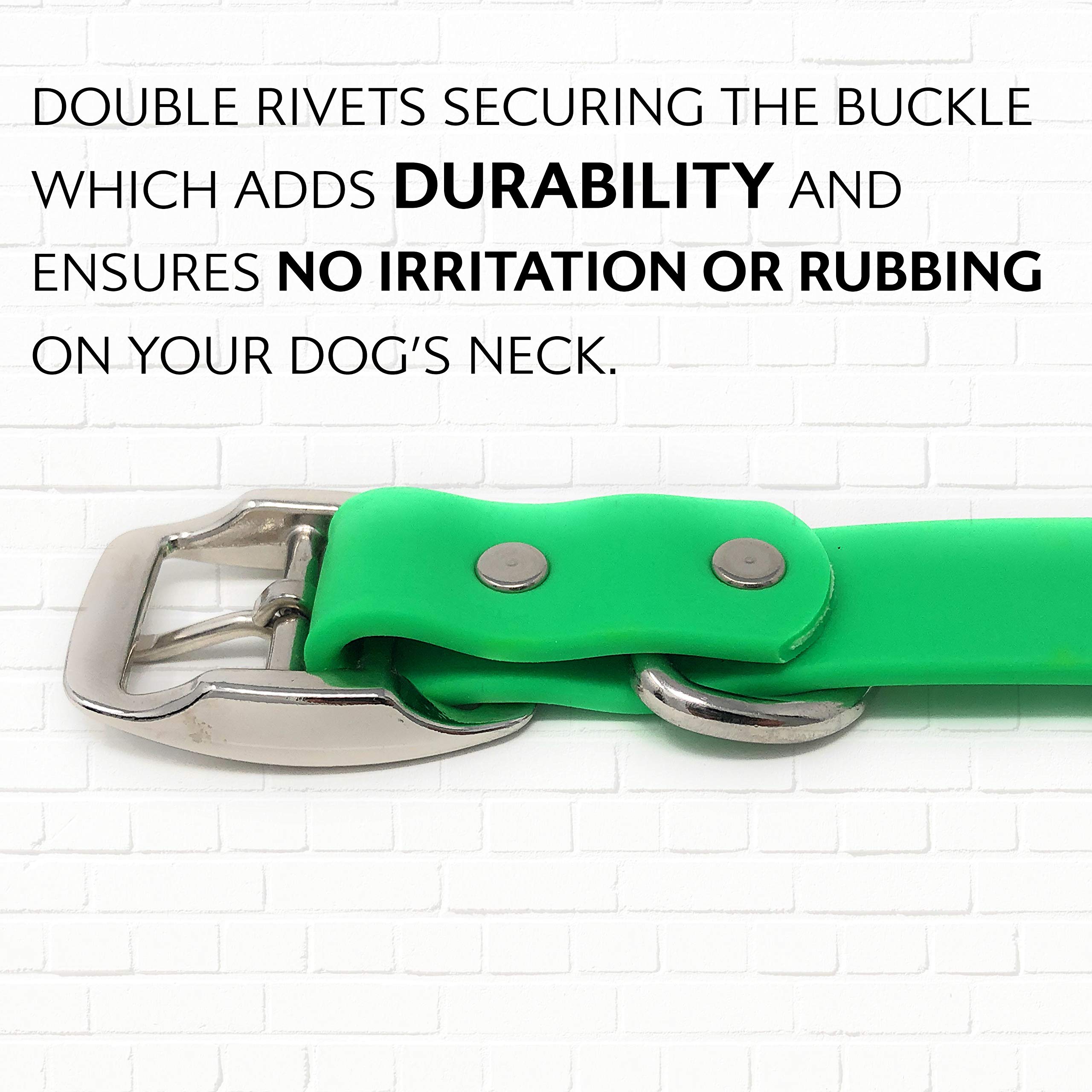 Regal Dog Products Large Light Green Waterproof Dog Collar With Heavy Duty Double Buckle & D Ring | Vinyl Coated, Custom Fit, Adjustable Biothane Dog Collar | Chew Resistant Waterproof Collar For Dogs