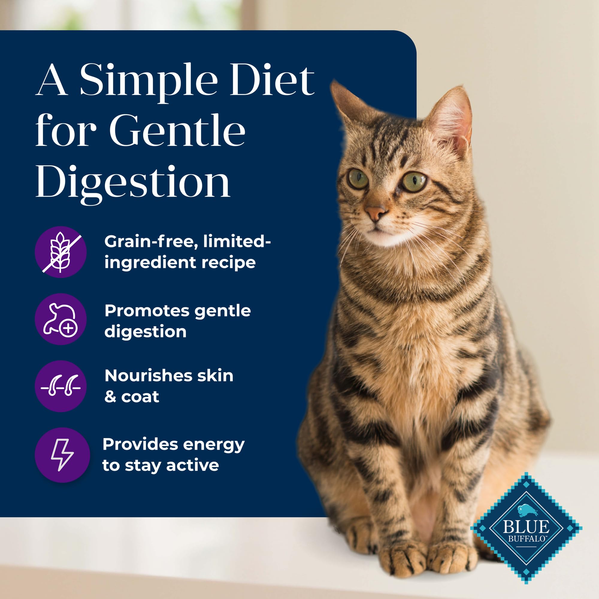 Blue Buffalo Basics Grain-Free Dry Cat Food, Skin & Stomach Care, Limited Ingredient Diet for Indoor Cats, Turkey & Potato Recip