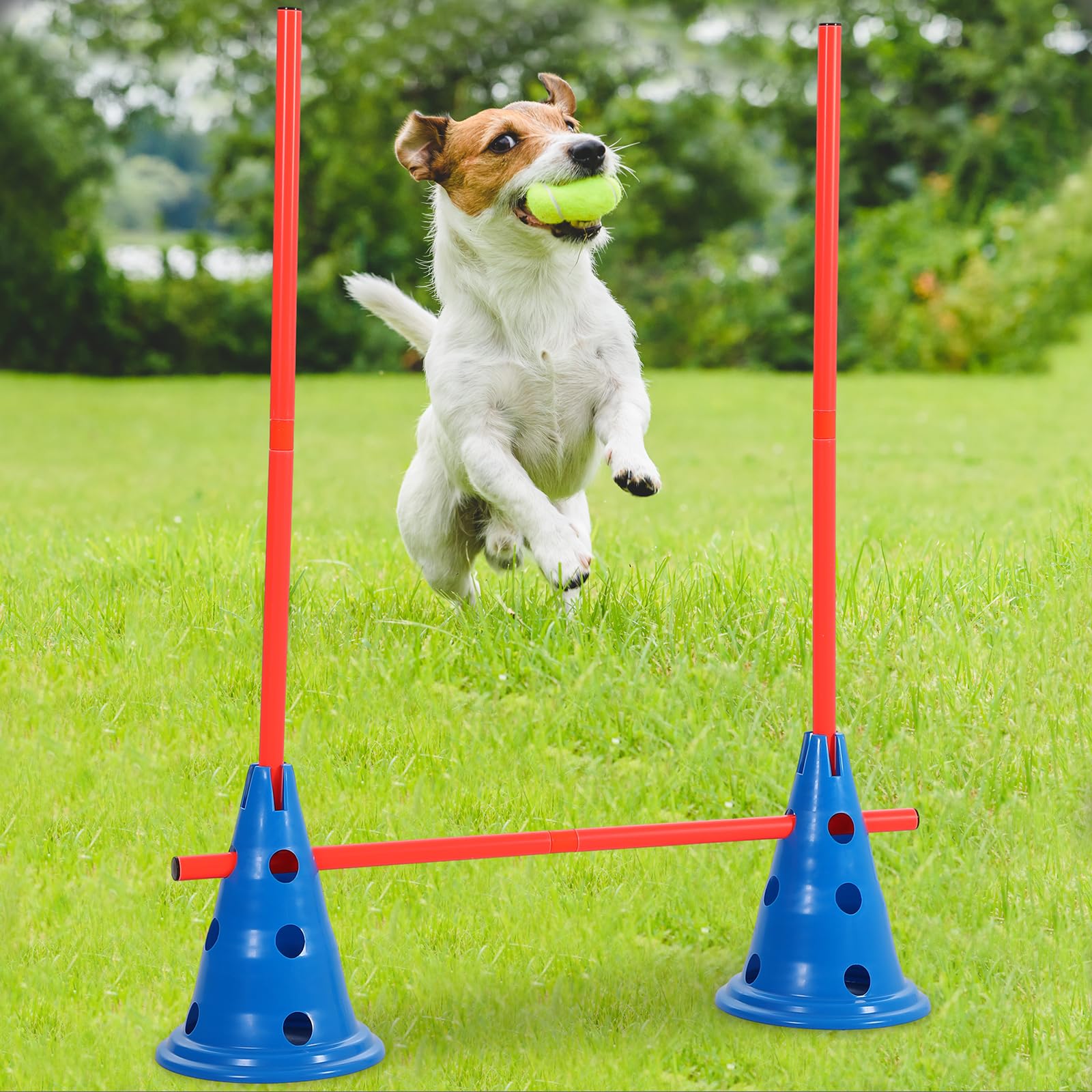 Glimin Dog Agility Hurdle Cone Set Dog Agility Course Backyard Set Include 12 Agility Cones 6 Agility Rods Training Equipment Ad