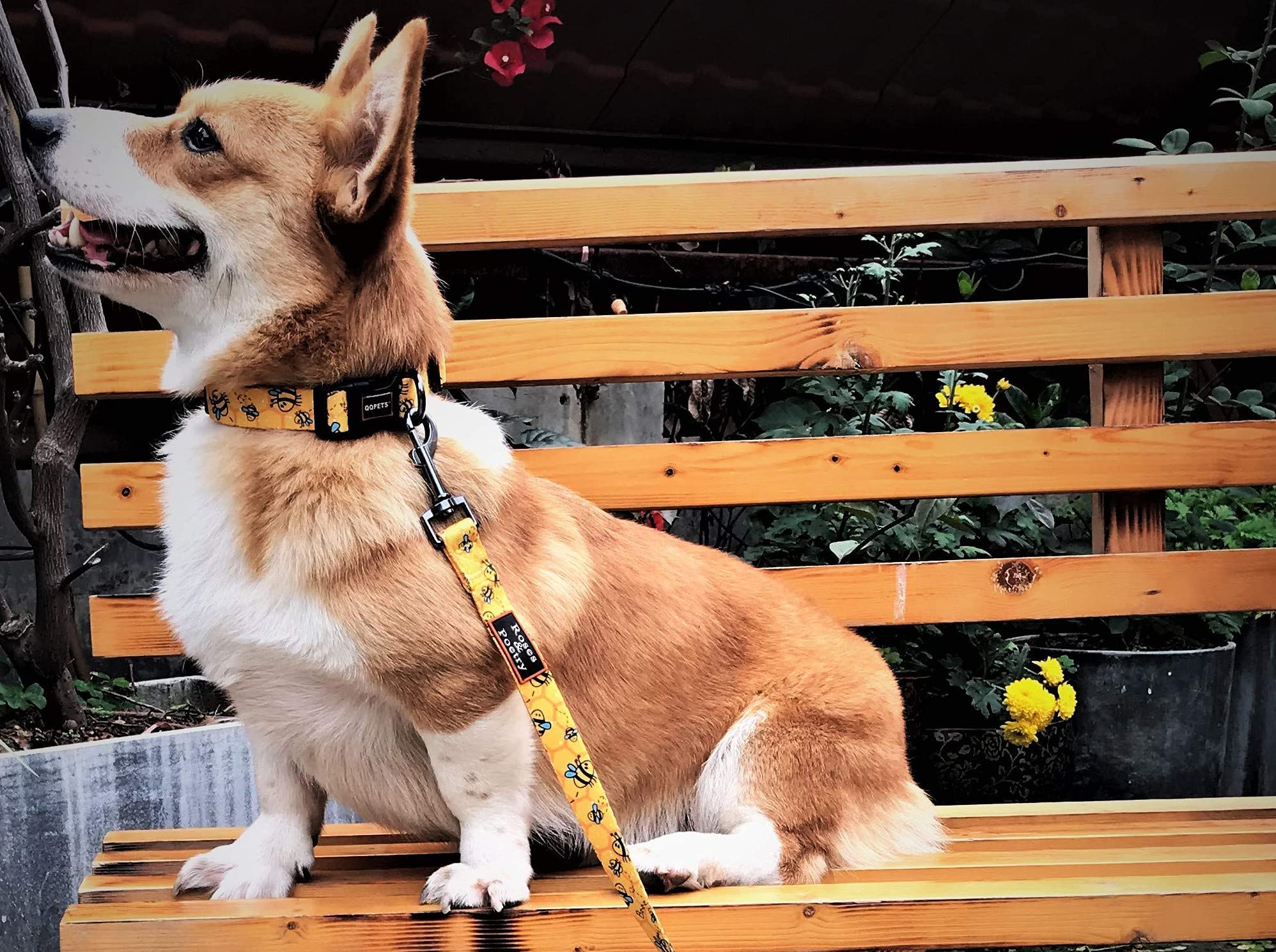 Roses&Poetry Dog Collar With Colourful Bee Patterns, Adjustable Durable Puppy Collars For Small Medium Large Dogs (Bee-L)