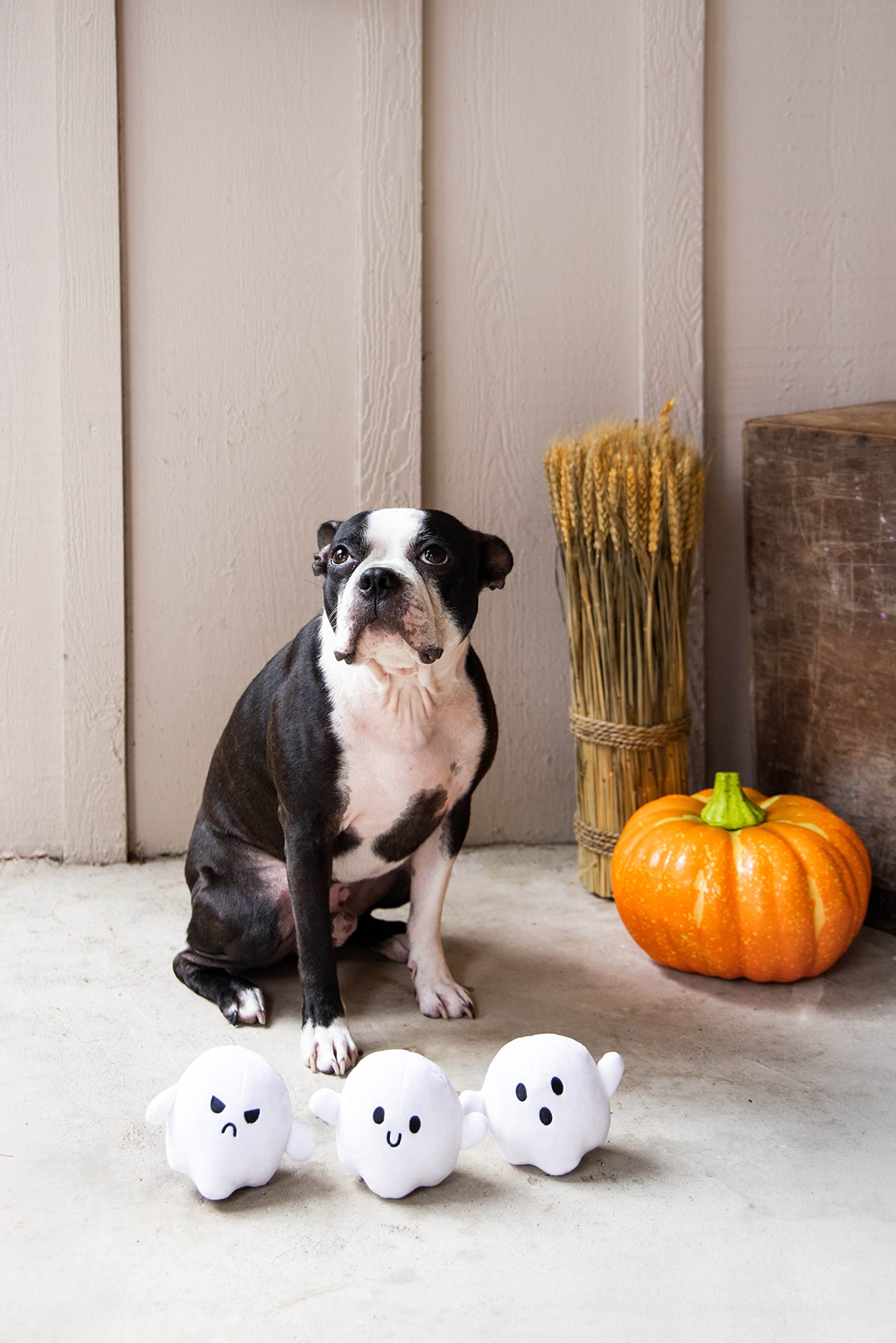 Pearhead Plush Squeaky Ghost Dog Toys, Halloween Stuffed Pet Toy, Dog Owner Must Have Accessories, Spooky Ghosts Fall Dog Toys, Set Of 3