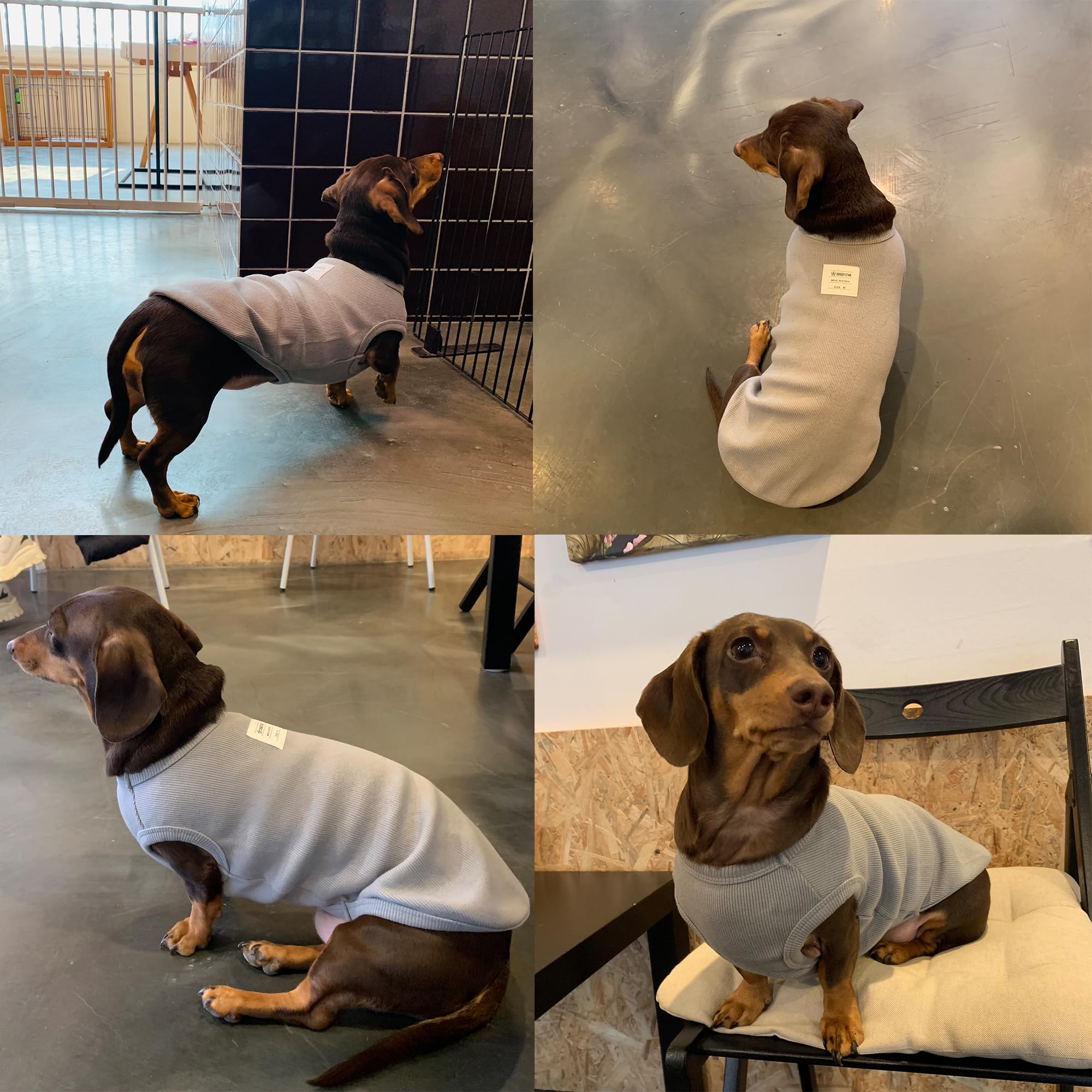 D Doggy Star Dachshund Clothes For Dogs Mini And Adults T Shirts (Xl,Solid Grey)