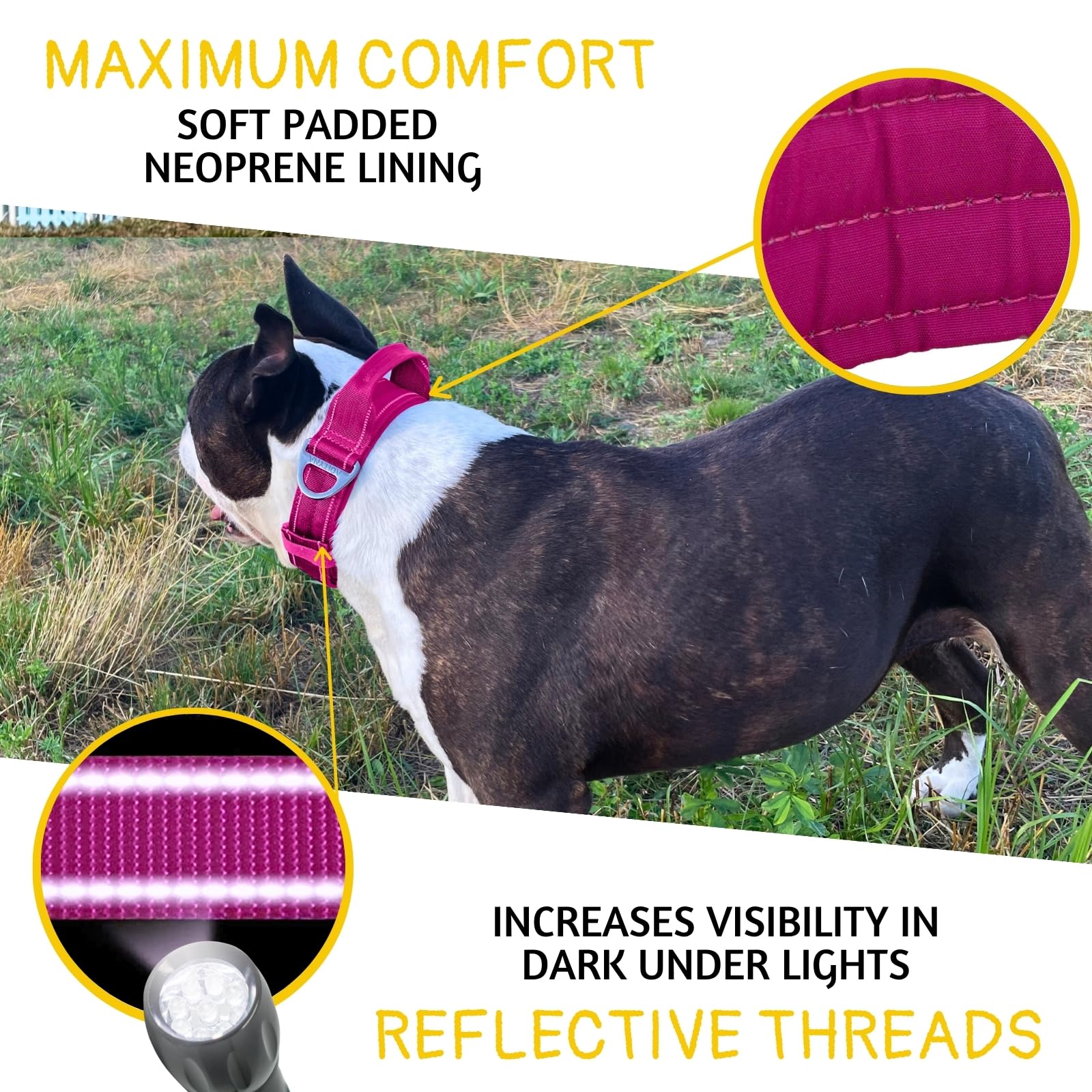 Adityna Heavy Duty Dog Collar For Extra-Large Dogs - Reflective Magenta Collar With Handle For Training, And Walking - Wide, Thi