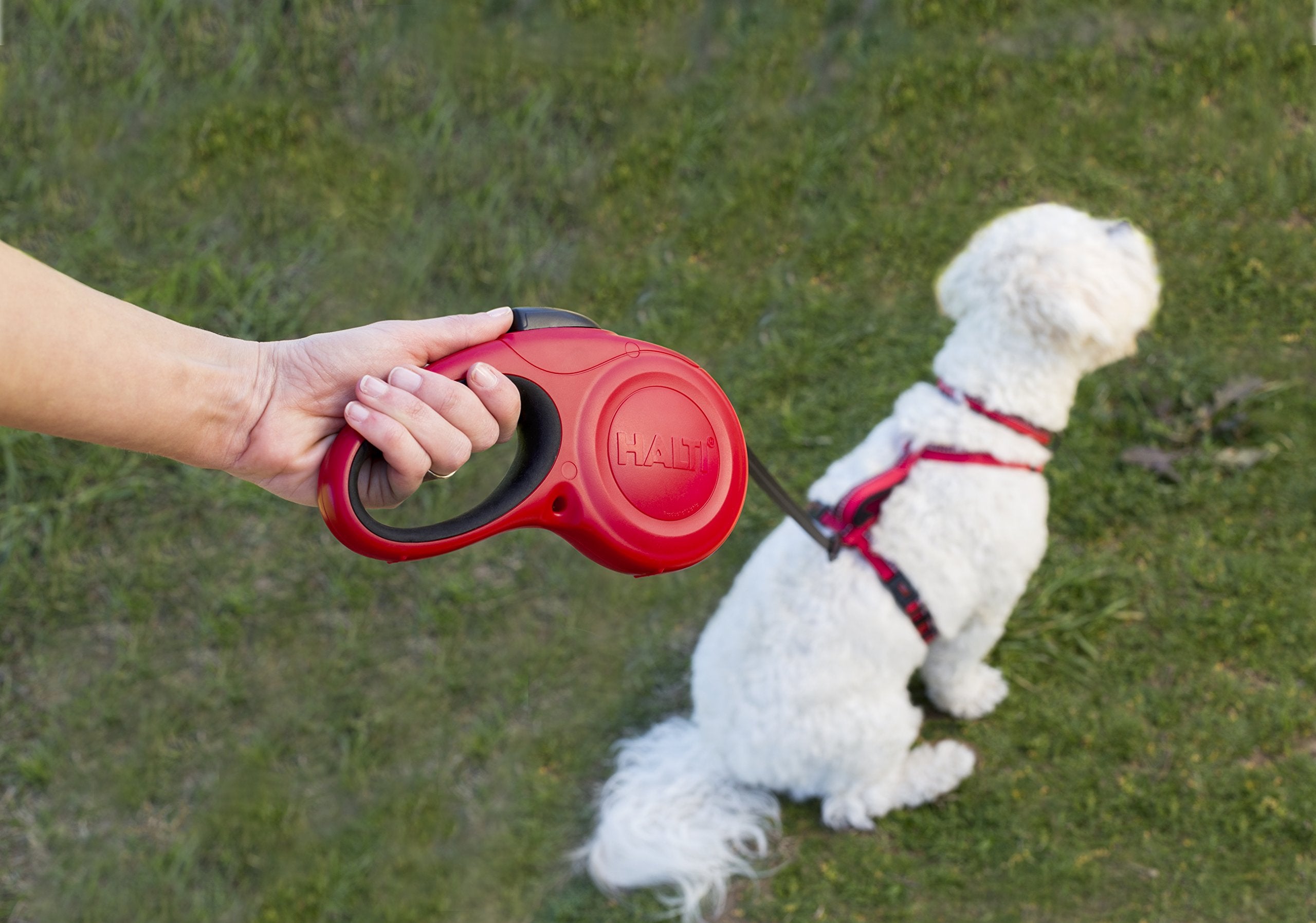 Halti Retractable Leash For Dogs - Strong & Reflective Extendable Leash, Soft Gel Grip Handle, Easy To Use Brake & Lock. Suitable For Small Dogs And Puppies (Size Small, Black, 3M)