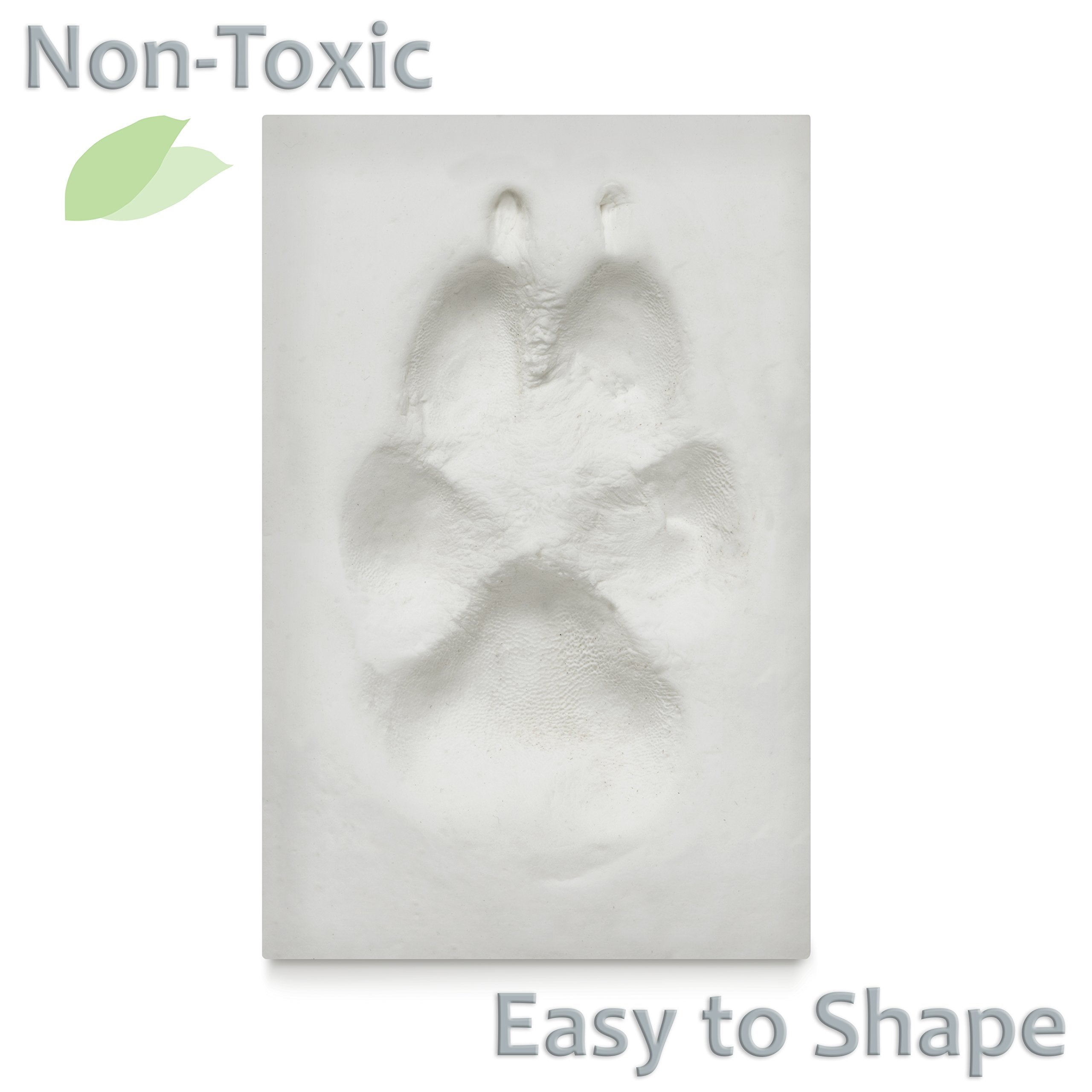 Better World Pets Paw Print + Photo Keepsake Frame Holds 4 X 6 Inch Picture – Memorial Clay Imprint Kit – For Dogs And Cats – Perfect For Pet Lovers – Wall Mount, White