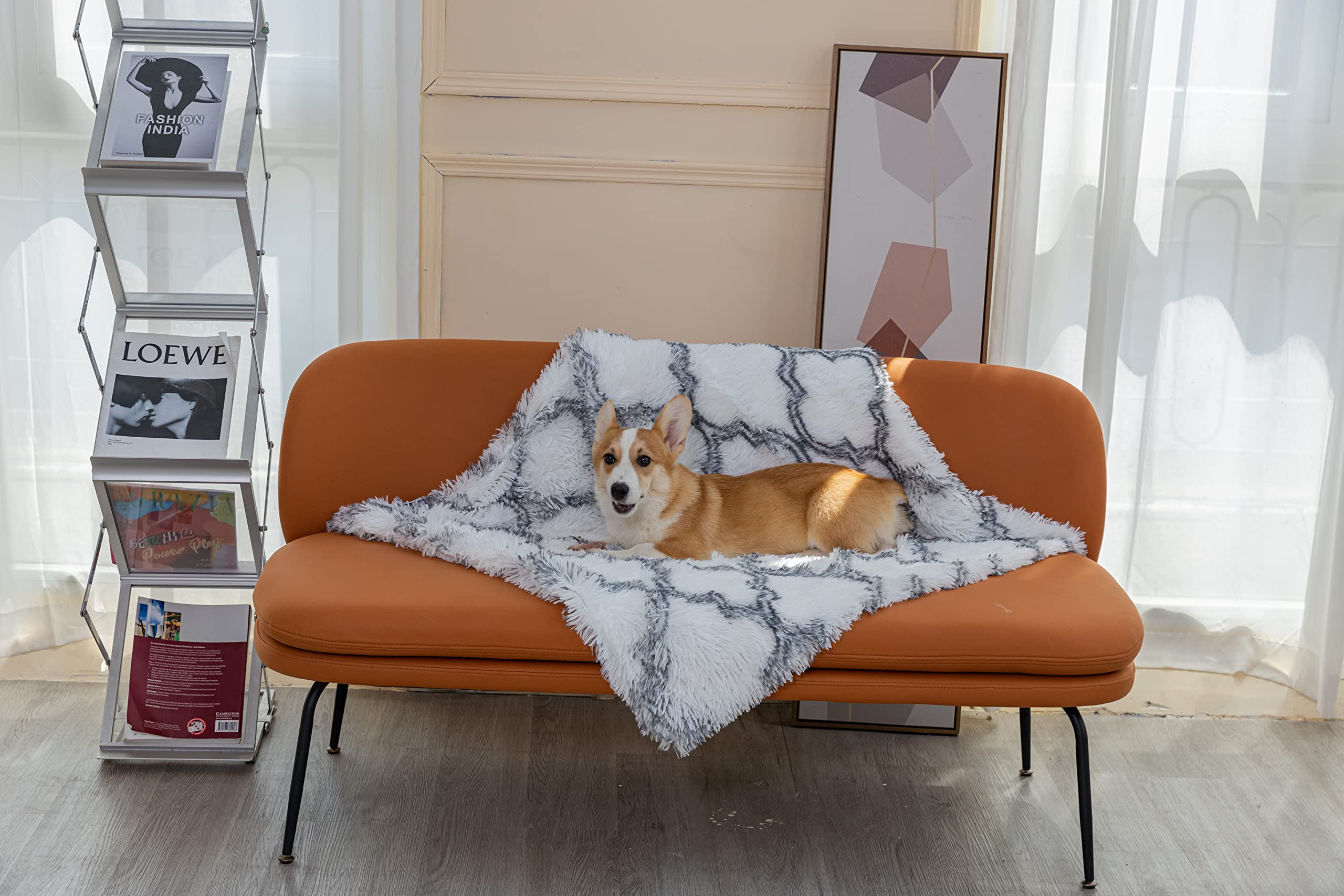 Pjyucien Fluffy Fleece Calming Pet Throw Blanket, Super Soft And Warm For Indoor Cats And Dogs, Medium 24 * 32'', Machine Washab