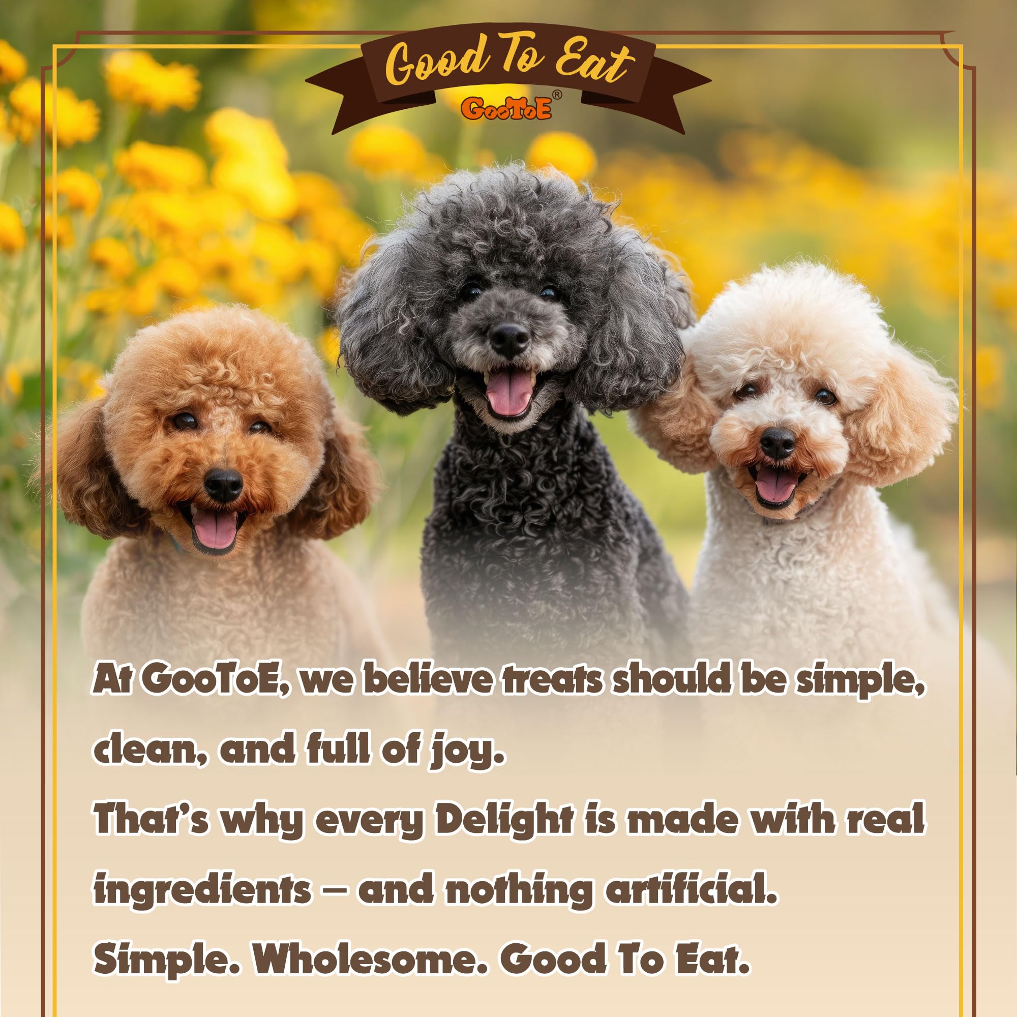 Gootoe Turkey Tendon Dog Treats, Rope (L) 1 lb, 100% USA Sourced Turkey, Natural Snack, Premium Puppy Chews, Hypoallergenic, Raw